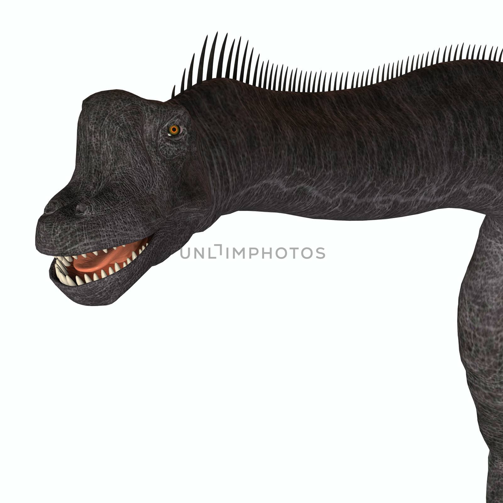 Brachiosaurus Animal Head by Catmando