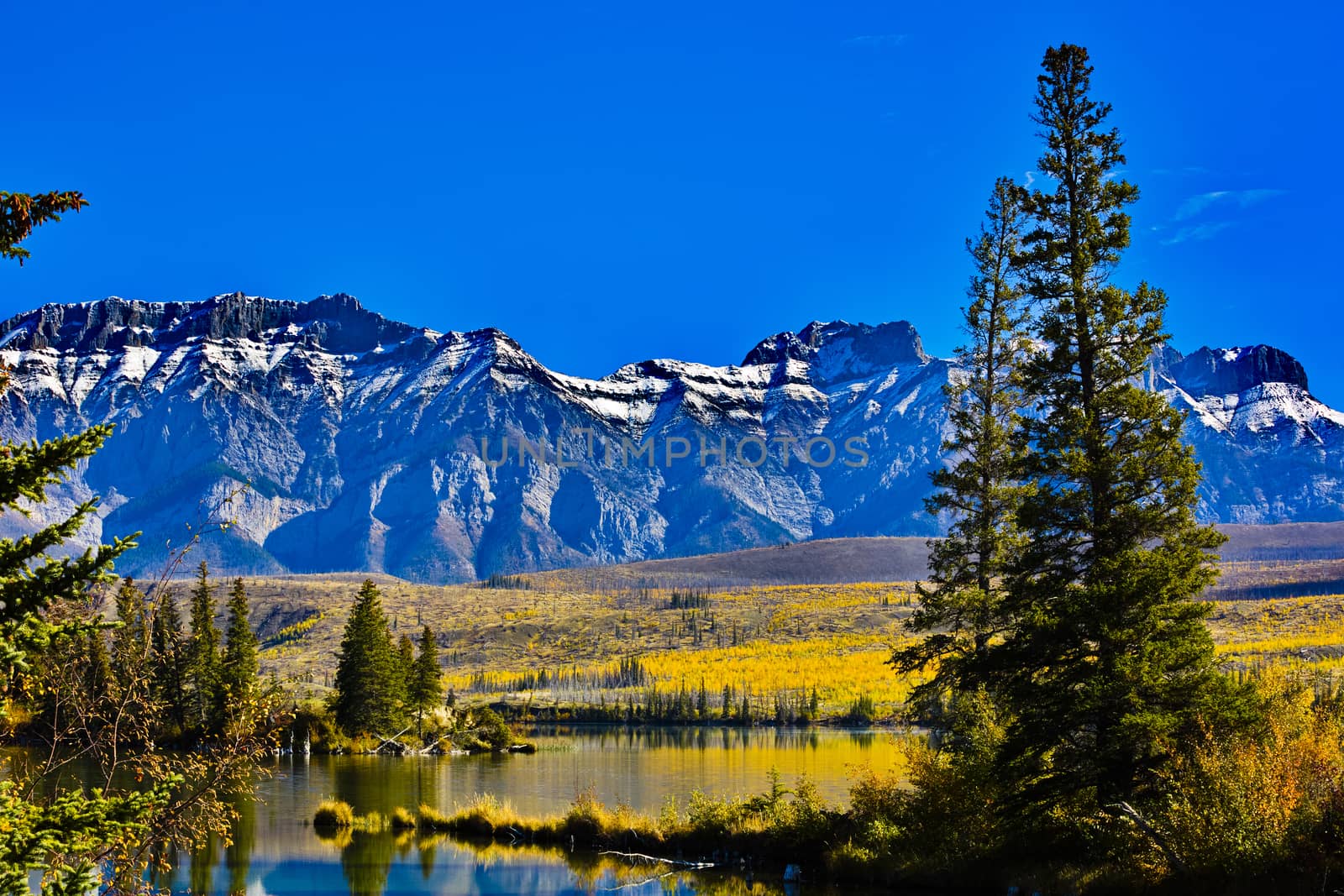 Gold hues of autumn and rugged Rocky Mountain peaks at Talbot Lake.  Location is on Route 16, the Yellowhead Highway, north of Jasper in Alberta province of Canada in North America. 