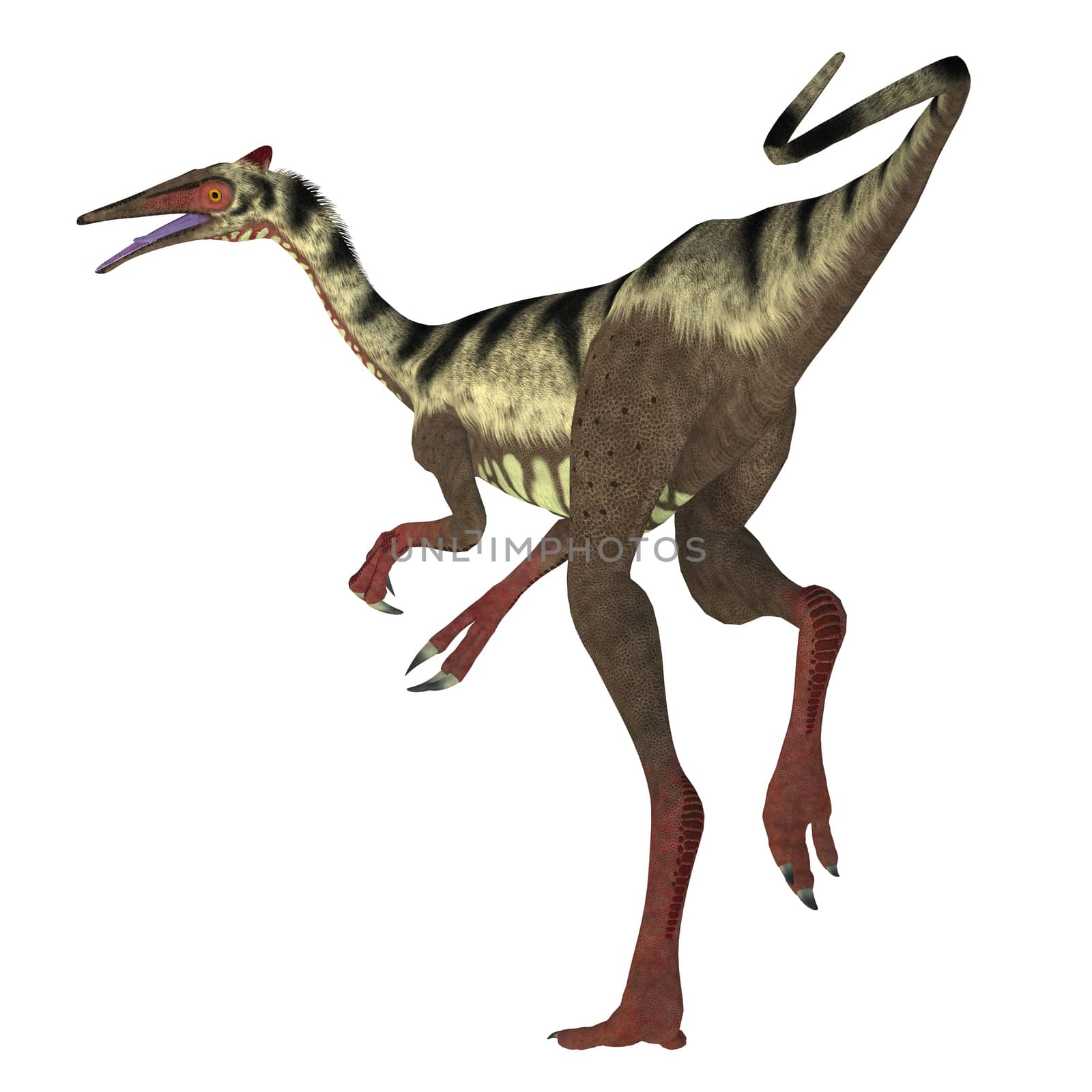 Pelecanimimus was a carnivorous theropod dinosaur that lived in the Cretaceous Period of Spain.