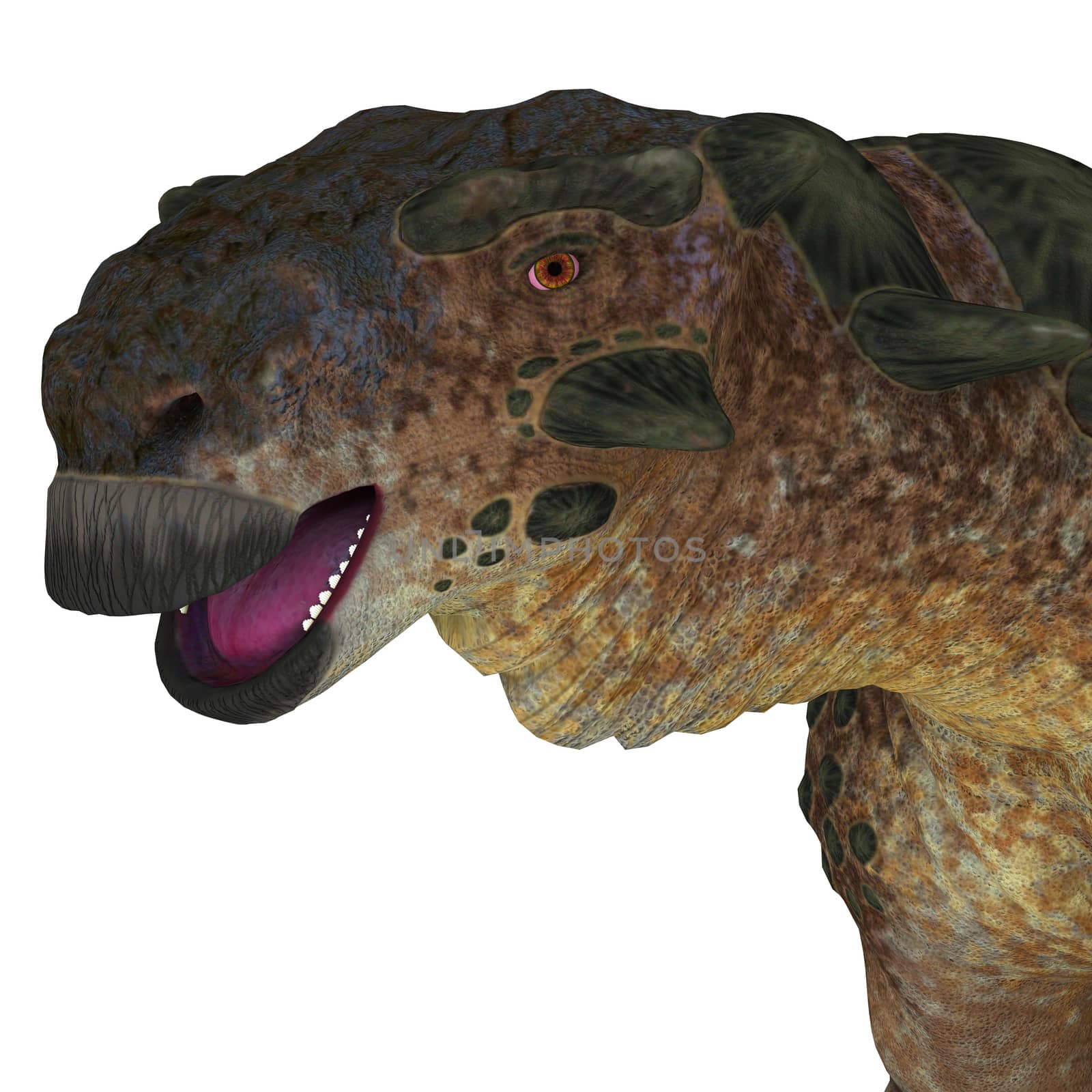 Pinacosaurus was a herbivorous ankylosaur that lived in the Cretaceous Period of Mongolia and China.