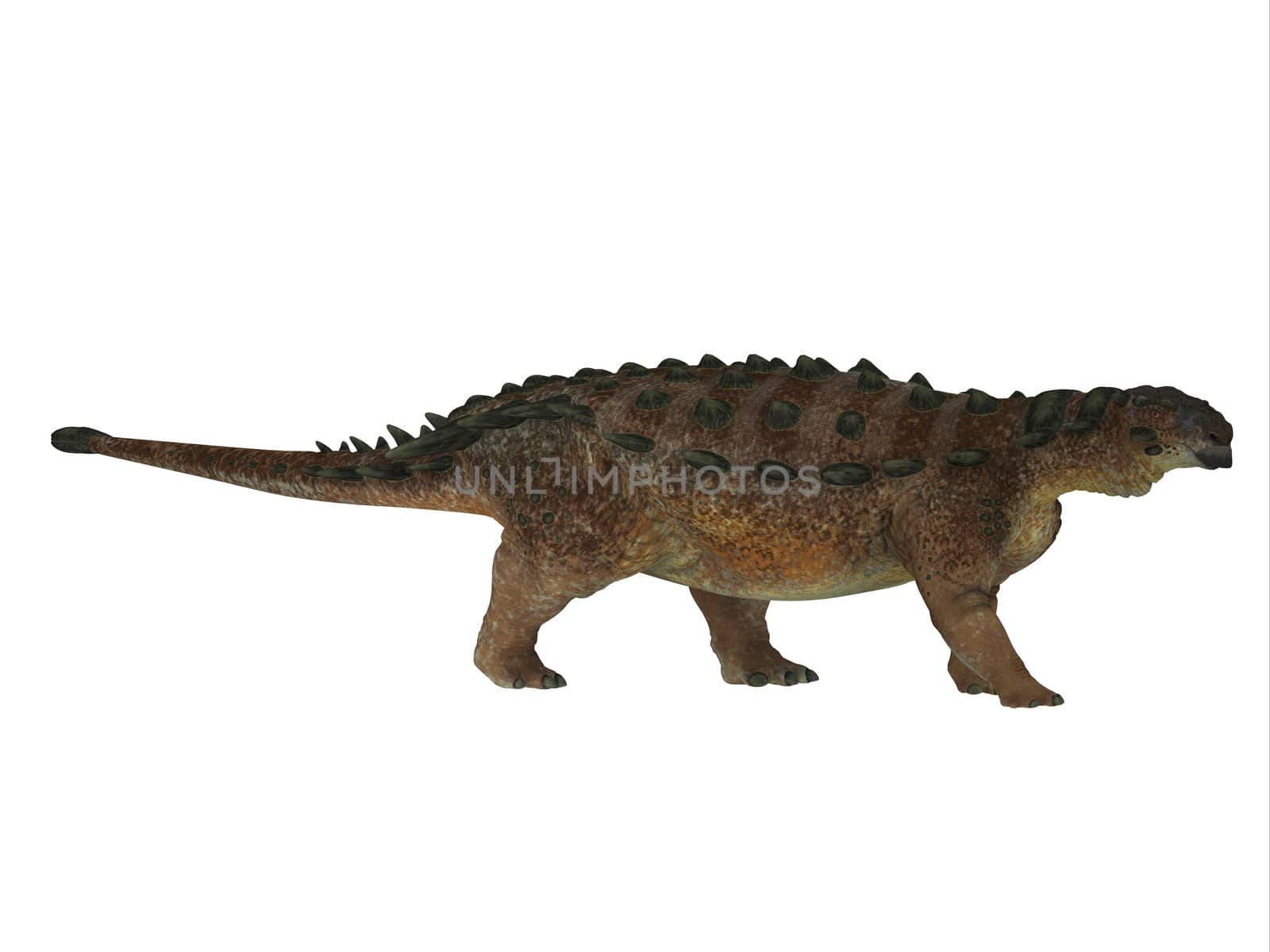 Pinacosaurus Dinosaur Side Profile by Catmando