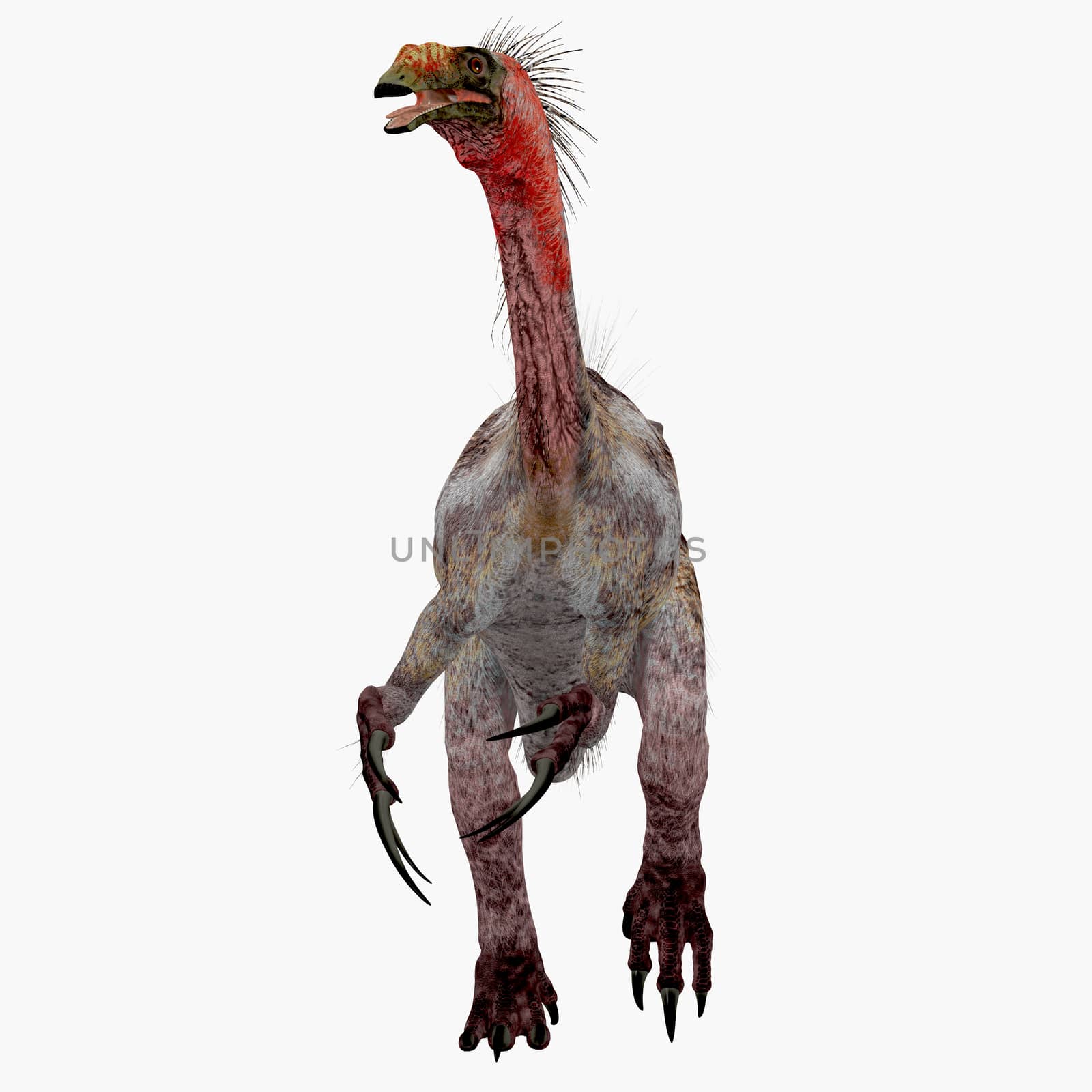 Therizinosaurus Dinosaur on White by Catmando