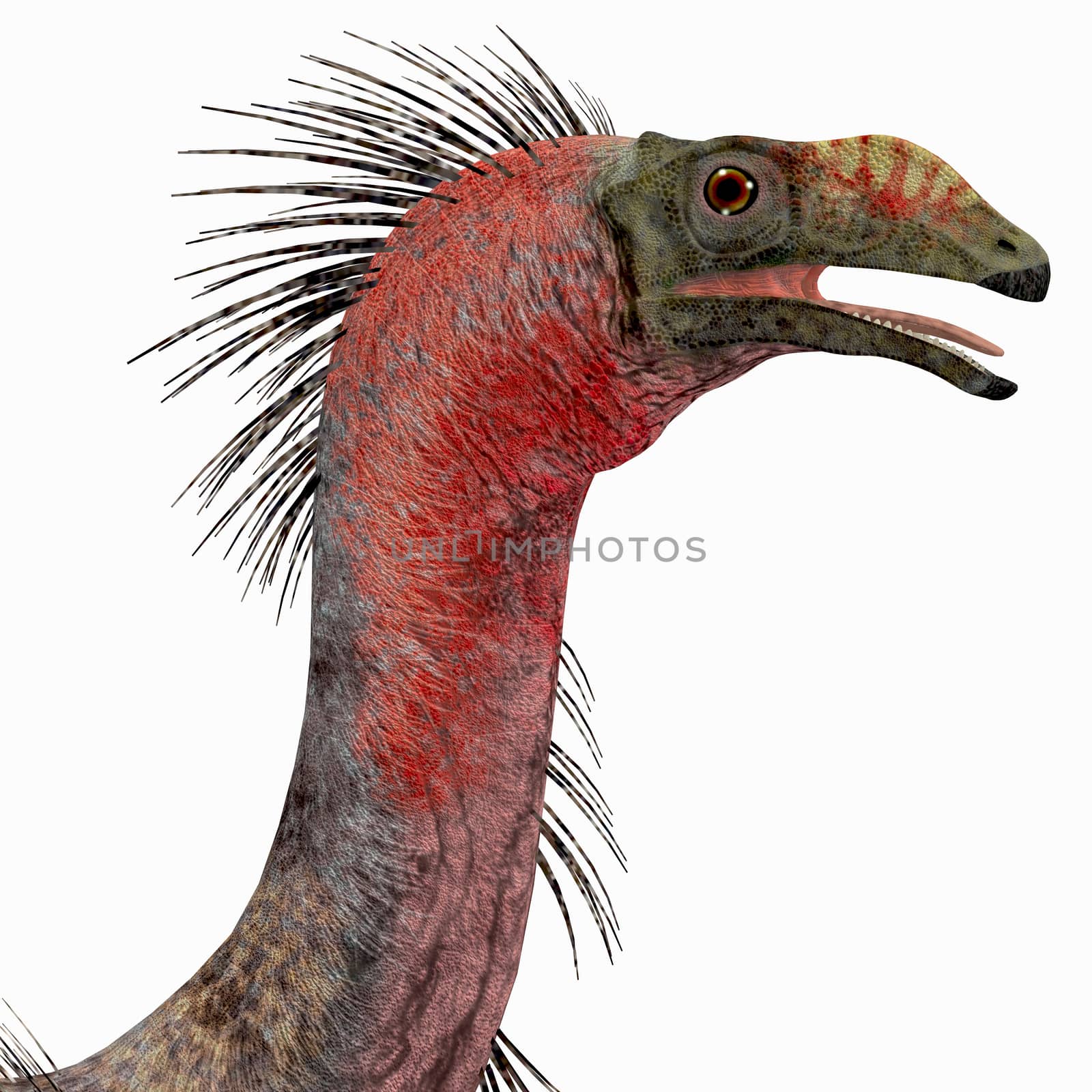 Therizinosaurus Dinosaur Head by Catmando
