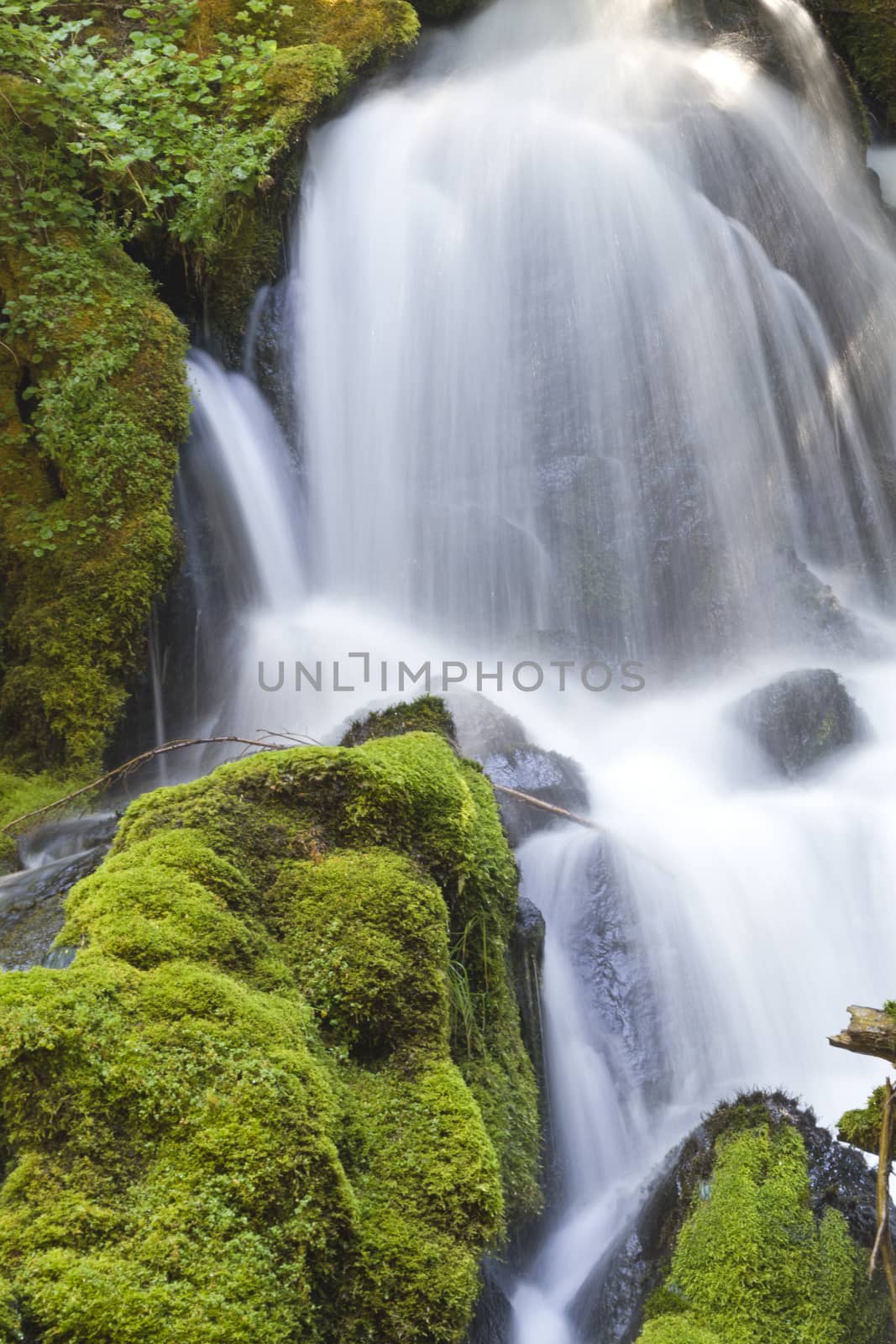 Silky waterfall and mossy rocks of Clearwater Falls in Oregon on Umpqua Scenic Byway.  Secluded waterfall is a natural hideway of tranquility and beauty.  