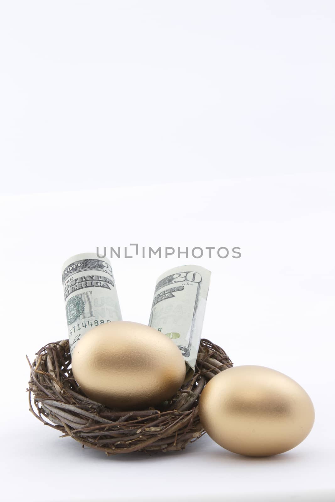 American currency placed with gold nest eggs.  Vertical image with copy space above on white background. 
