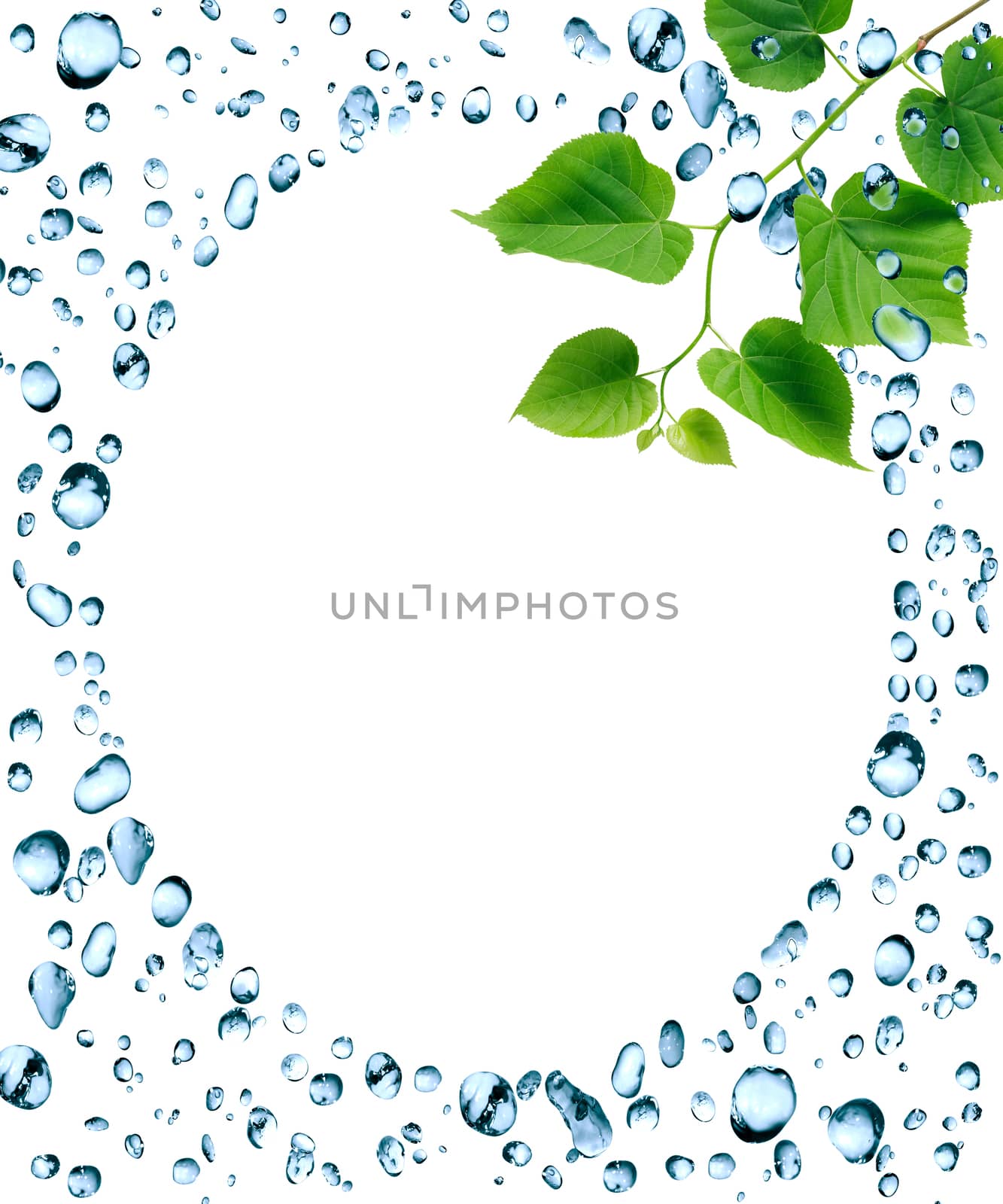 Abstract blue water drops frame and green leaves on white background