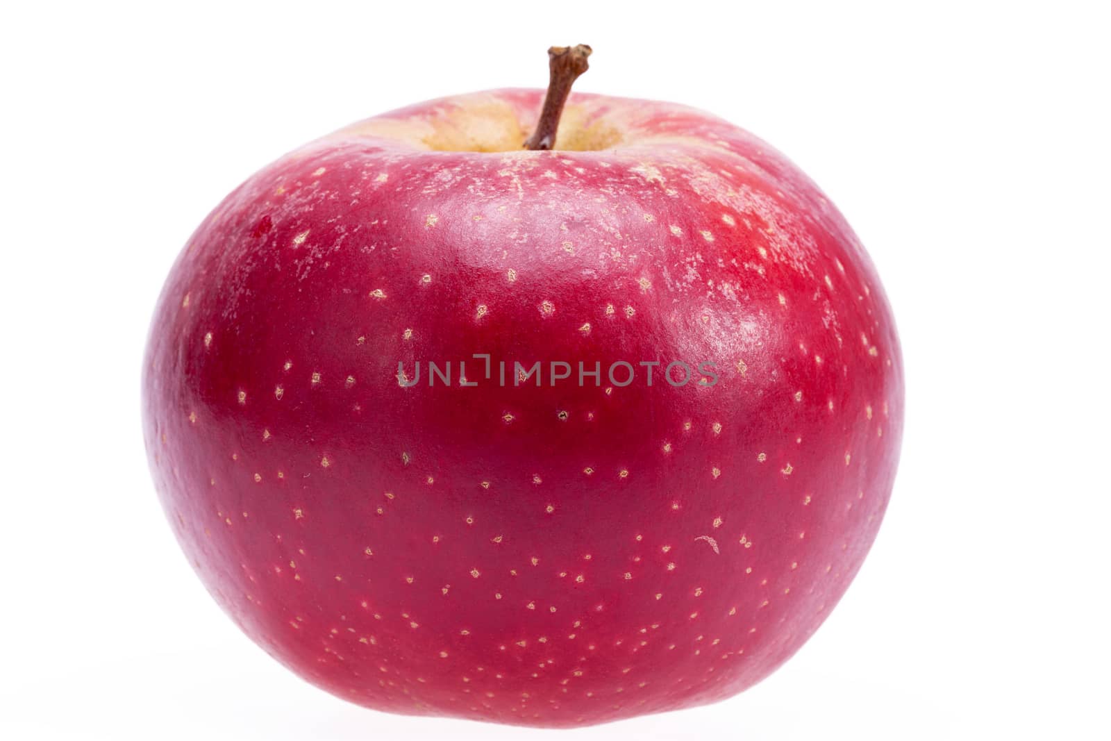 Single red apple isolated on white background, close up .