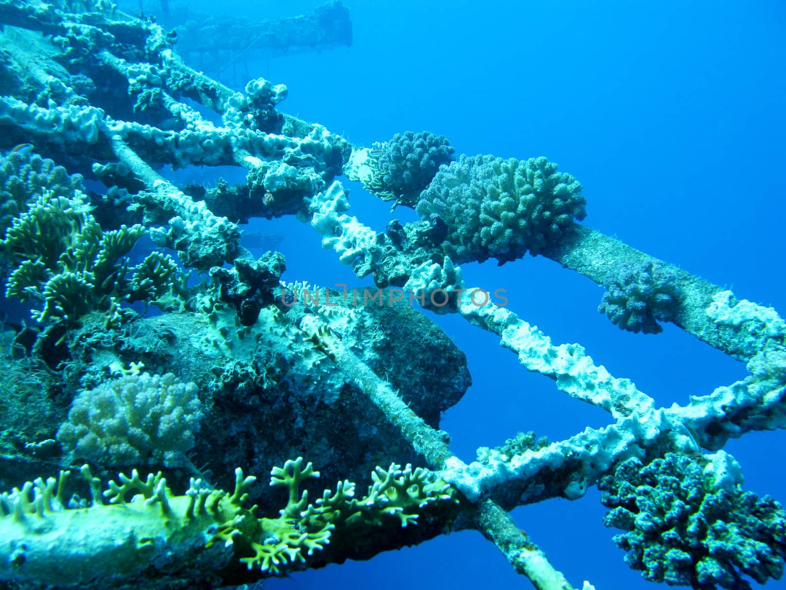 
Fragment shipwreck with reef coral on the bottom,  great depth, underwater

