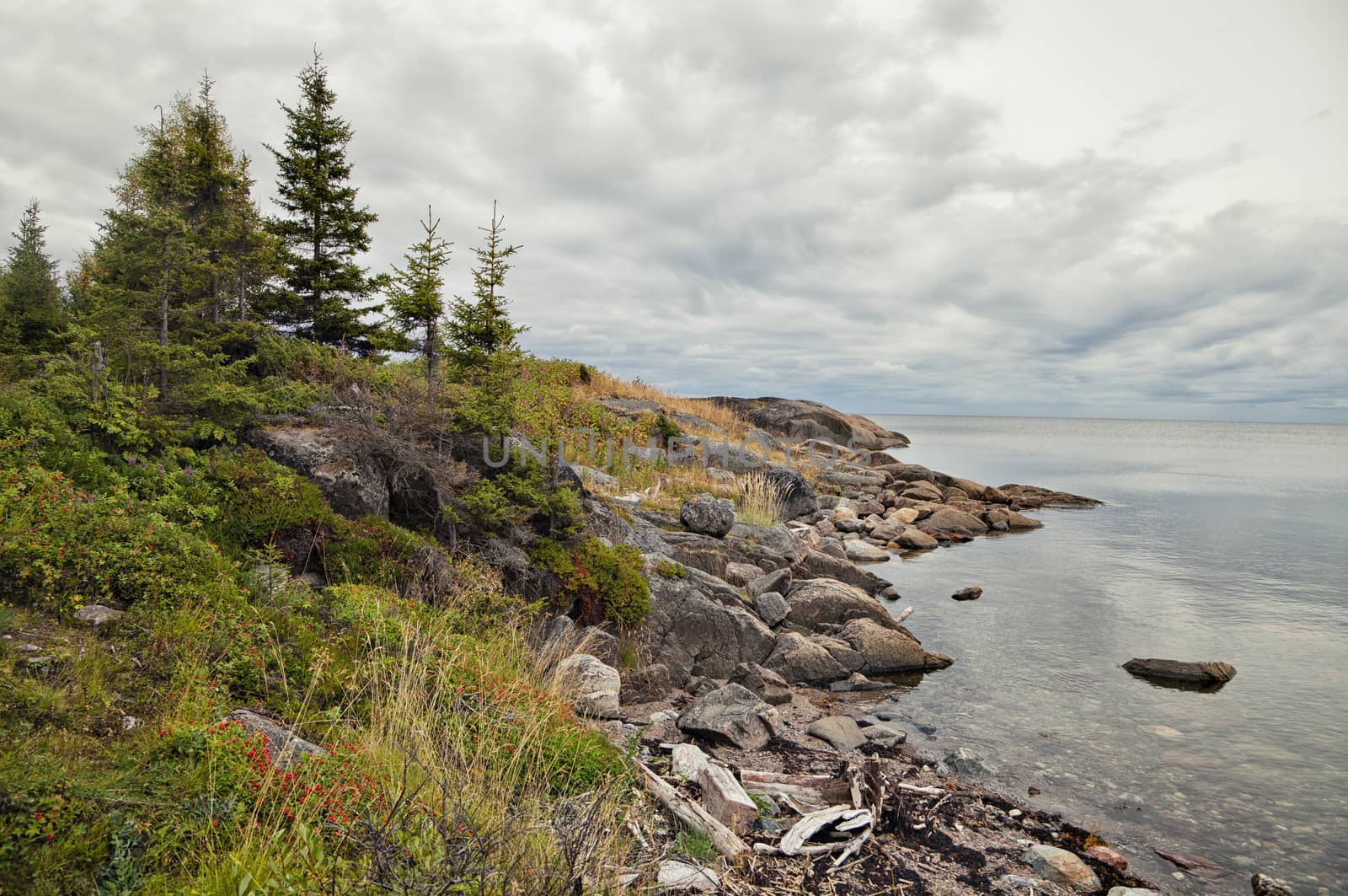 Coast of White sea in summer, northern Russia