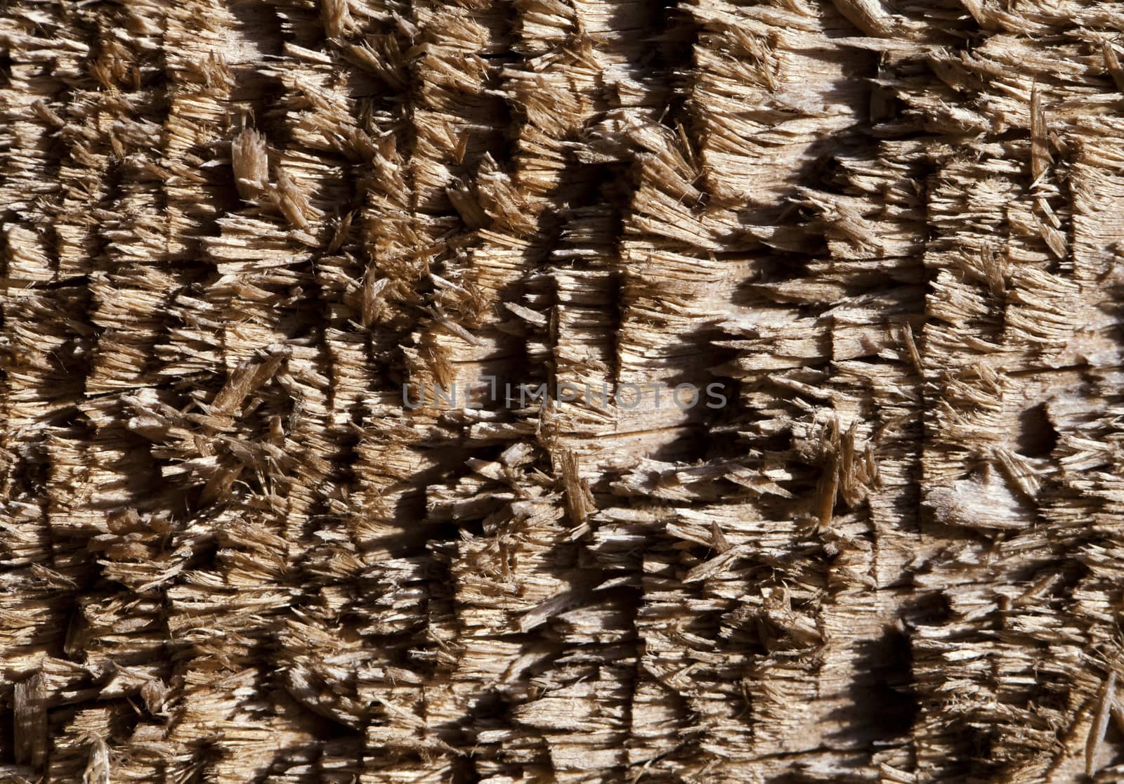 Old chipped wood, macro shot, for texture or background