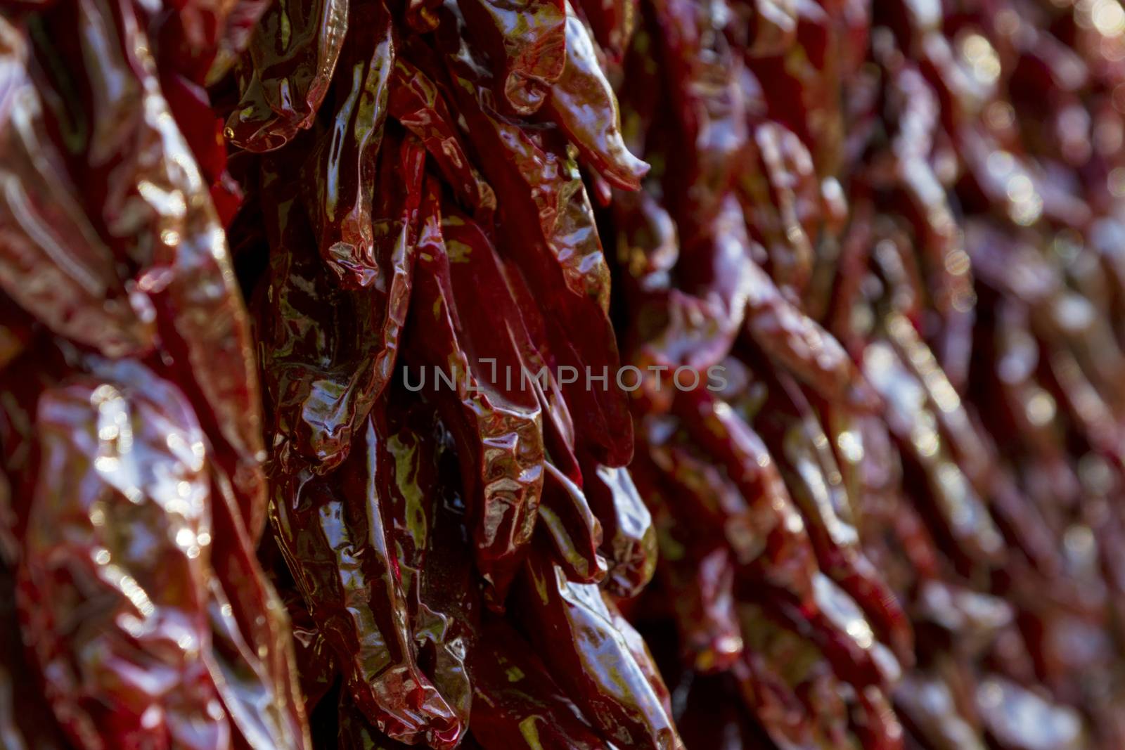 Dark red chili peppers on dried strings in Santa Fe, New Mexico. Close up and selective focus in horizontal image. 