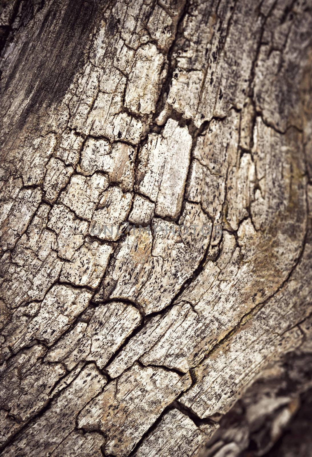 abstract background or texture cracks coated with old weathered wood
