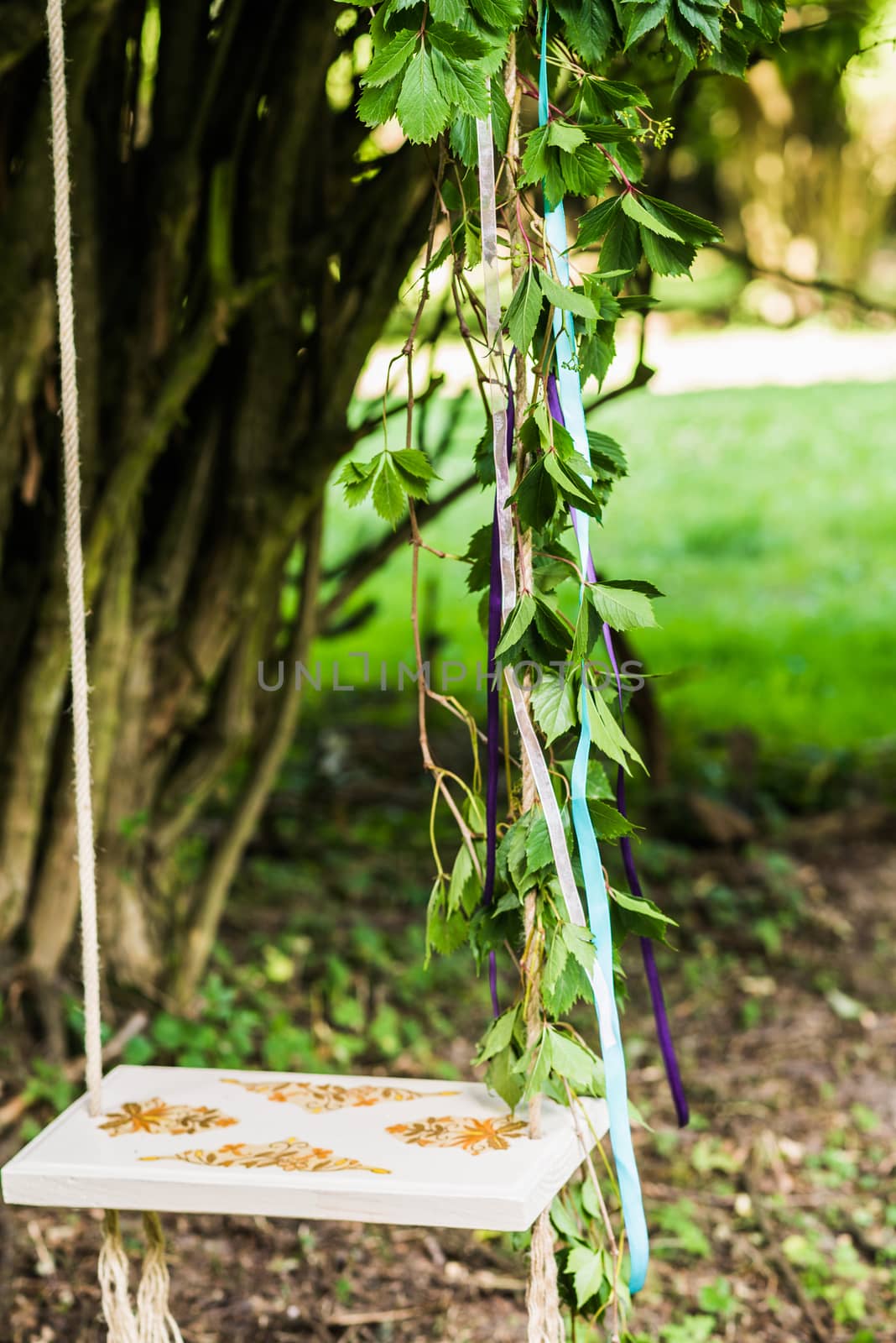 Old wooden swing hanging from a tree decorated with leaves on green grass background
