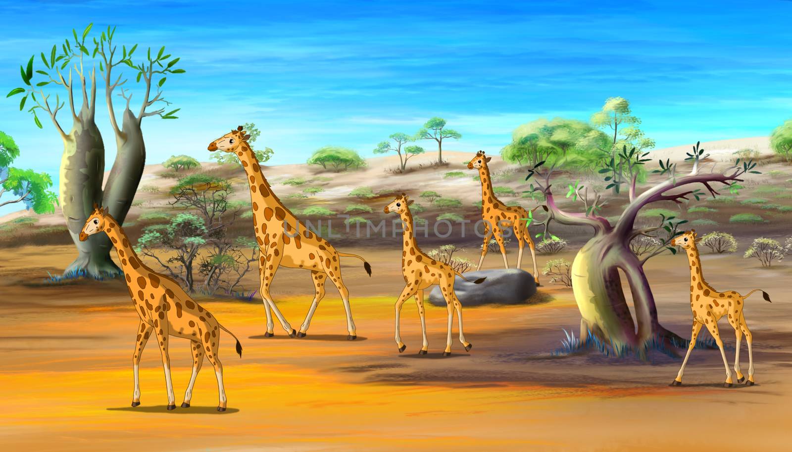 African Giraffes Family Walking at the Savannah by Multipedia