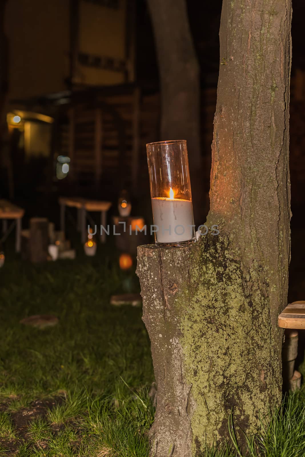 wedding decor, candles on the cut stumps