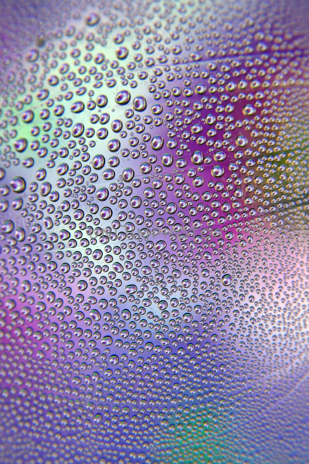 Abstract background. Drops of water on the crooked glass, shallow dof