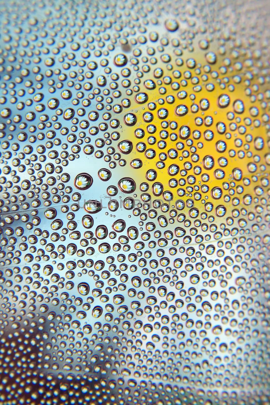 Abstract background. Drops of water on the crooked glass, shallow dof