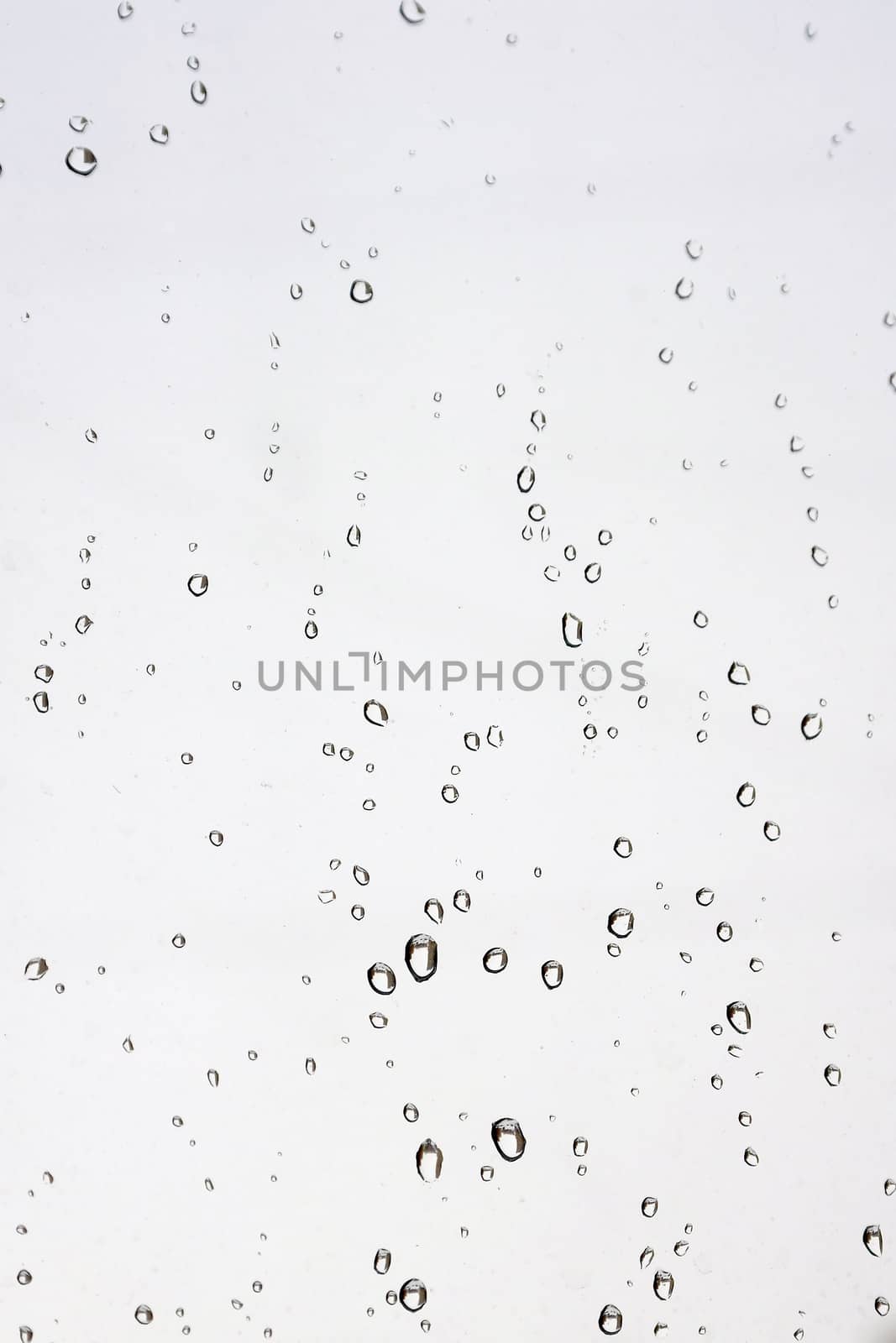 Drops of rain on the window (glass). Shallow DOF.