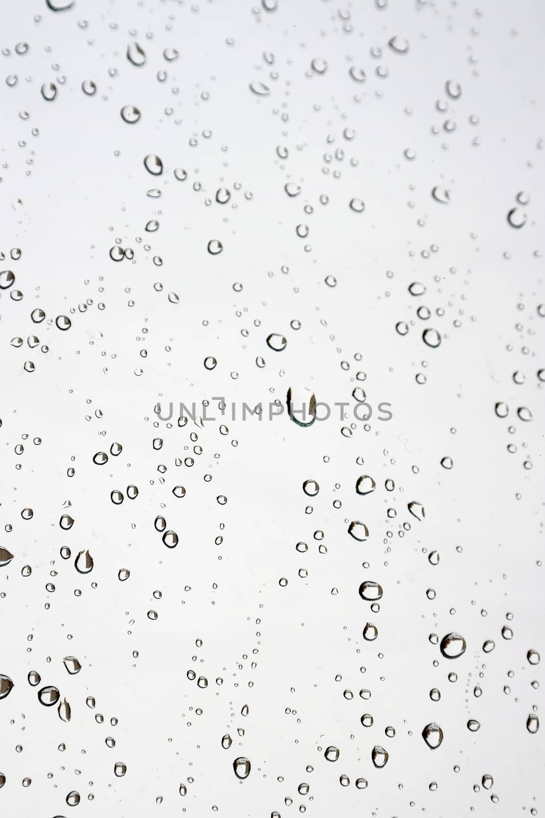 Drops of rain on the window (glass). Shallow DOF.