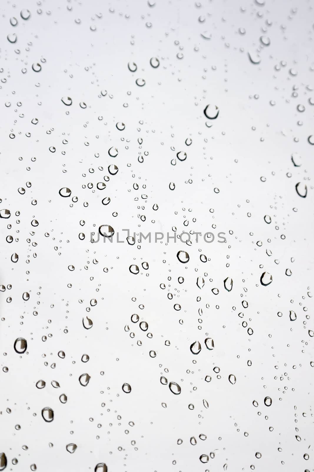 Drops of rain on the window (glass). Shallow DOF.