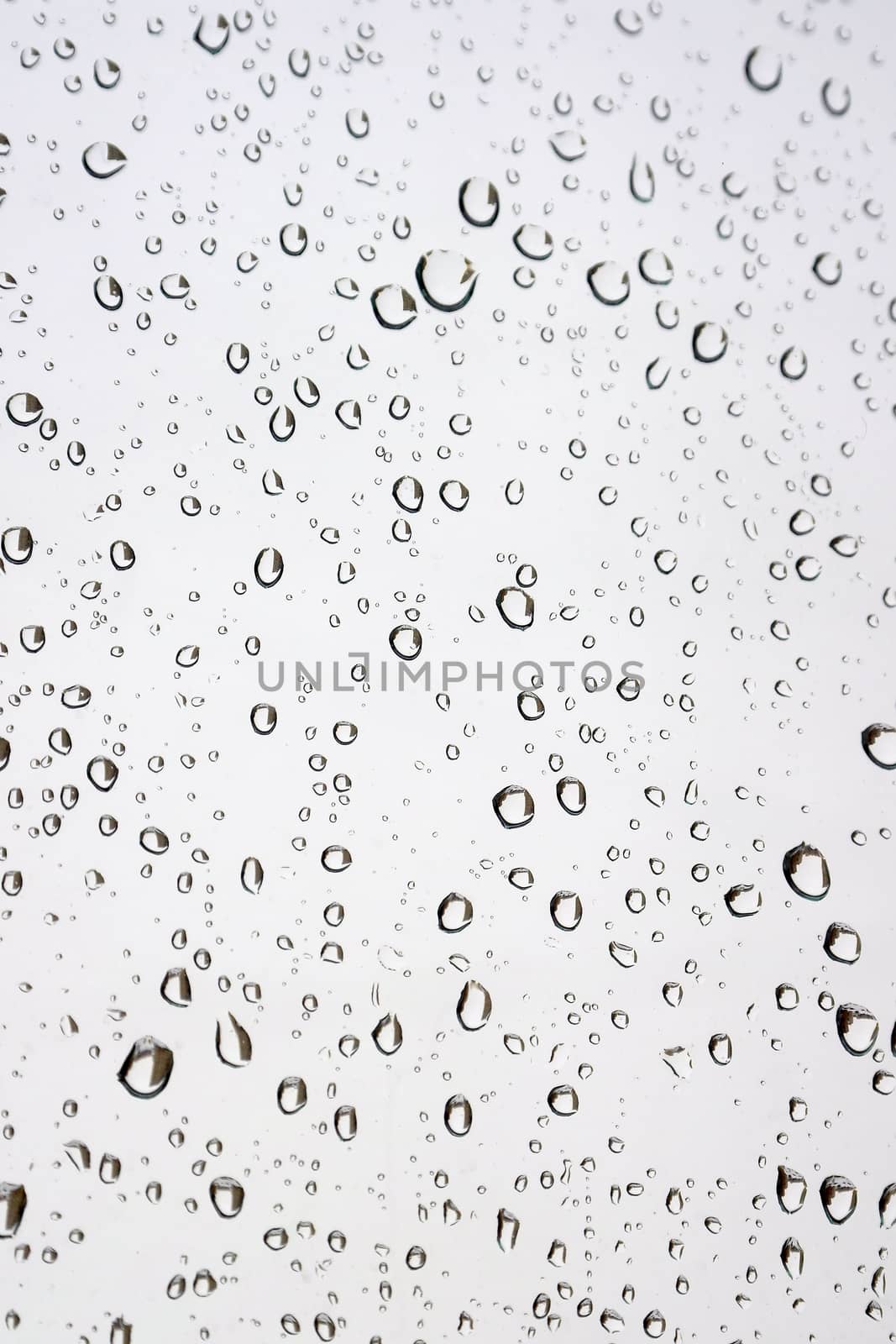 Drops of rain on the window (glass). Shallow DOF.