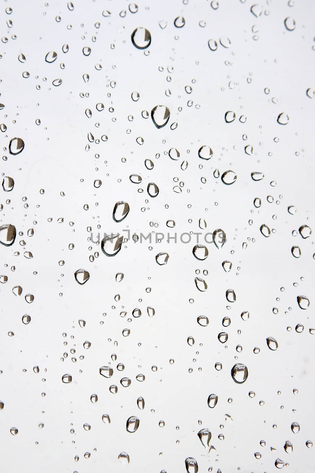 Drops of rain on the window (glass). Shallow DOF.