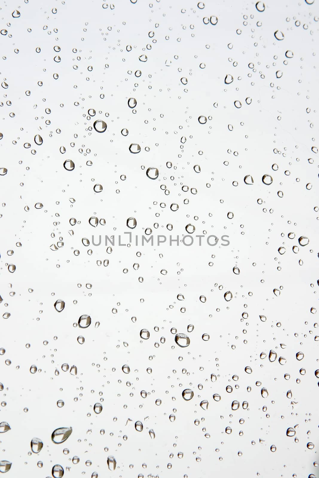 Water drops on the window. Abstract background. Shallow DOF.