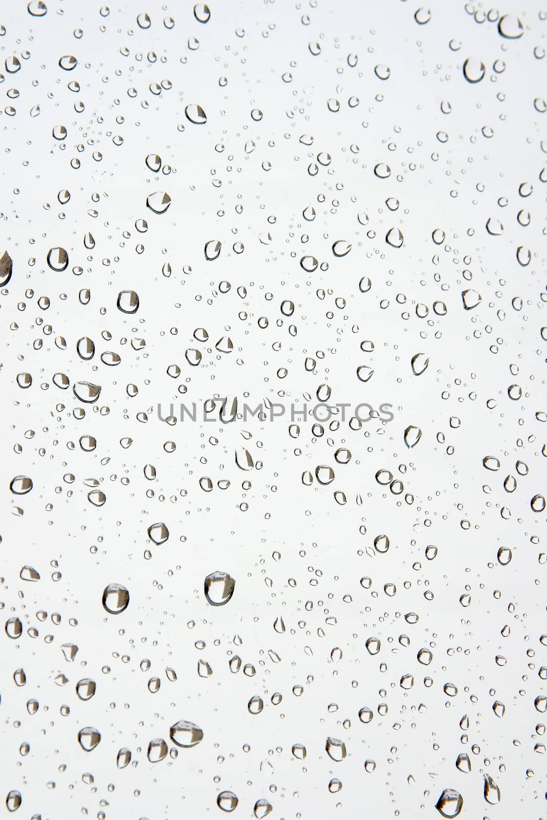 Water drops on the window. Abstract background. Shallow DOF.