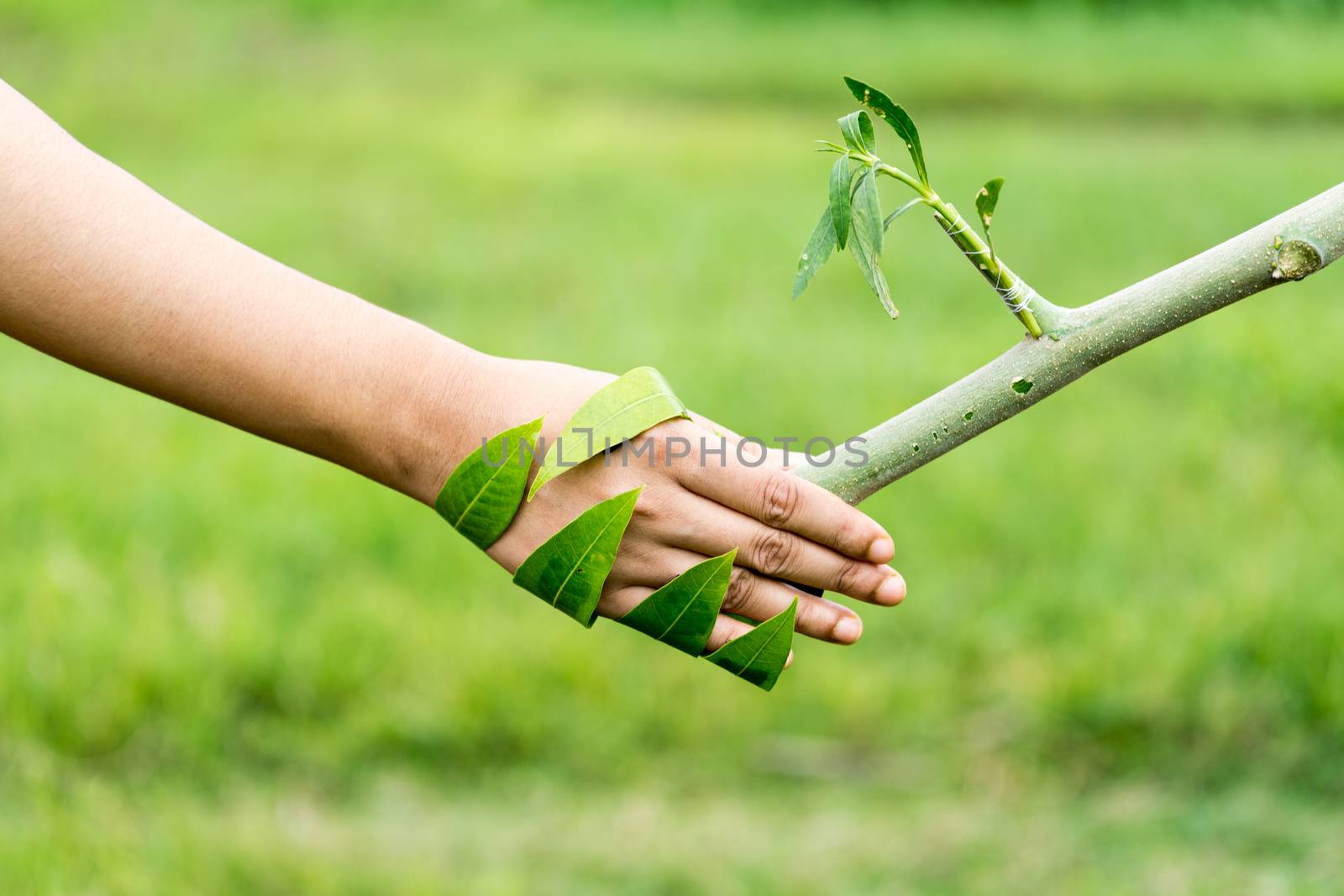 Handshake With Nature by sohel.parvez@hotmail.com