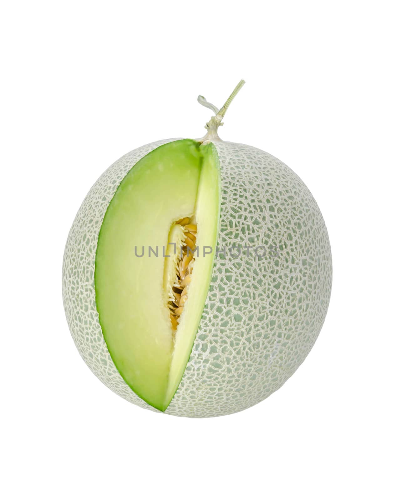 shopped green melon isolated on white background