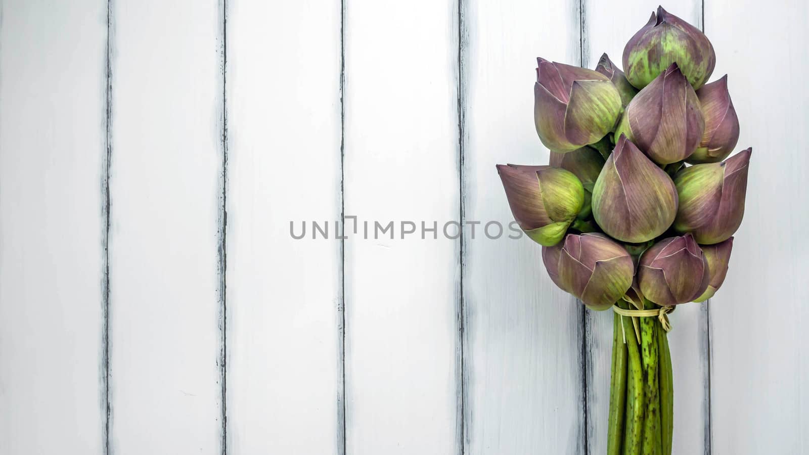 top view of pink water lily over wooden background,  Free space for text