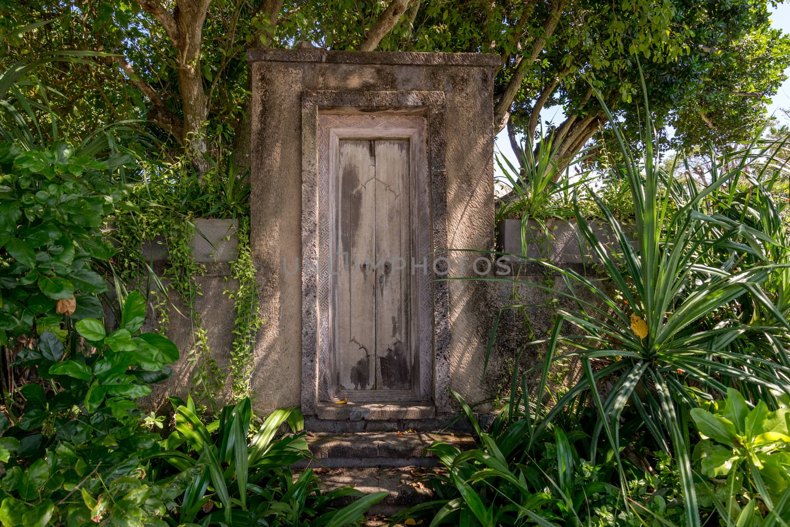 Wooden door entrance to a garden
