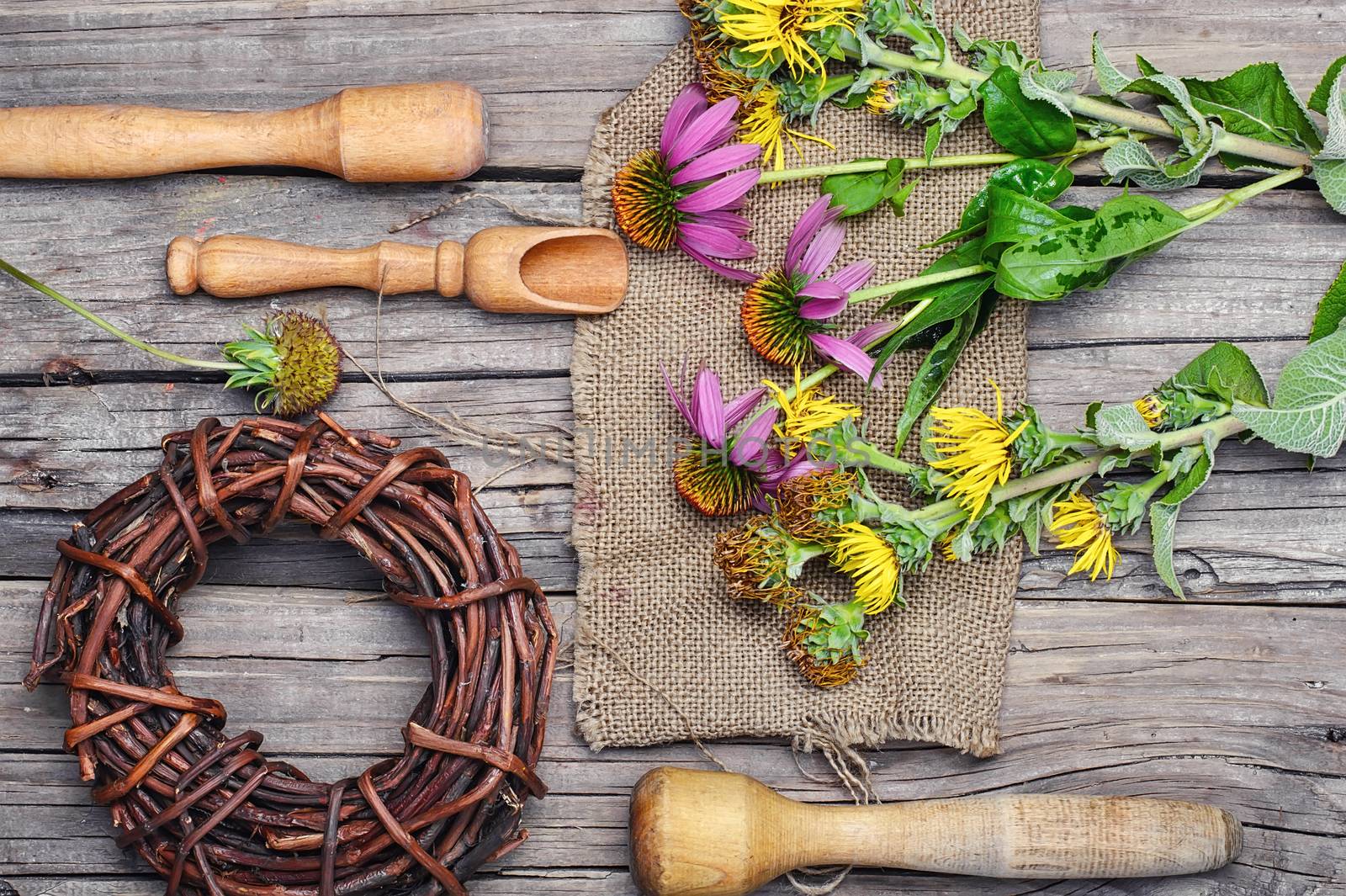 Set medicinal plant from Echinacea,elecampane and Licorice root