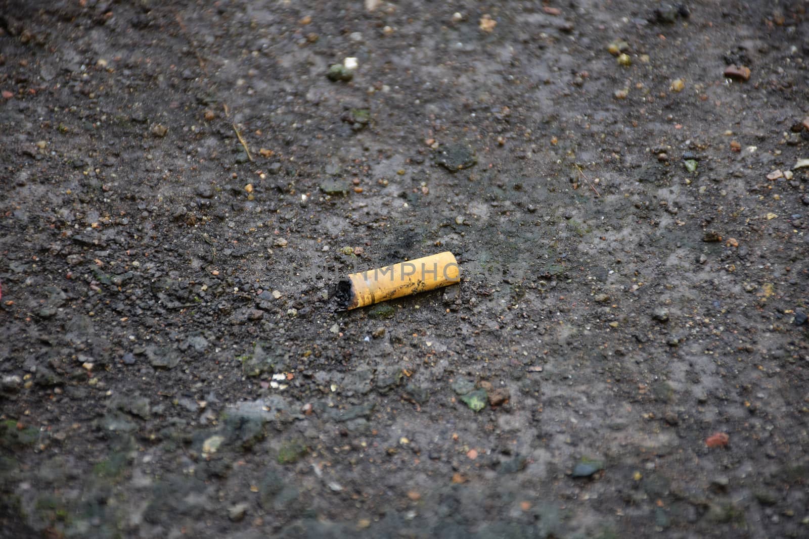 cigarette/trash on the ground.