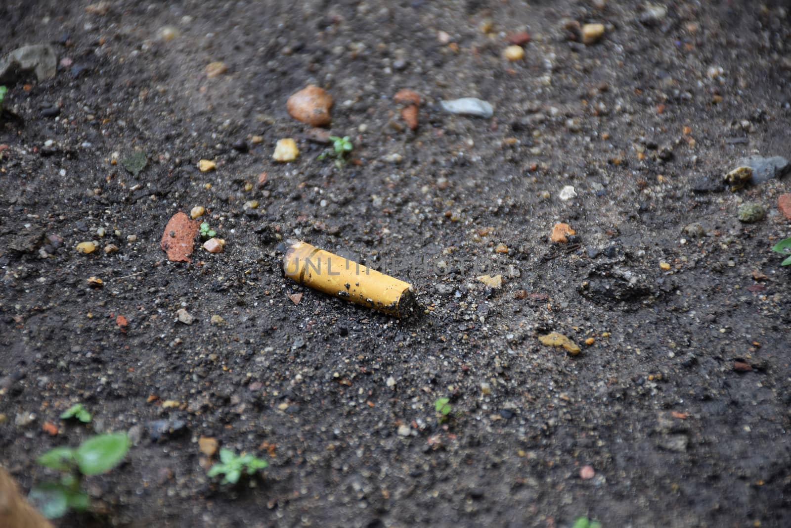 cigarette/trash on the ground.