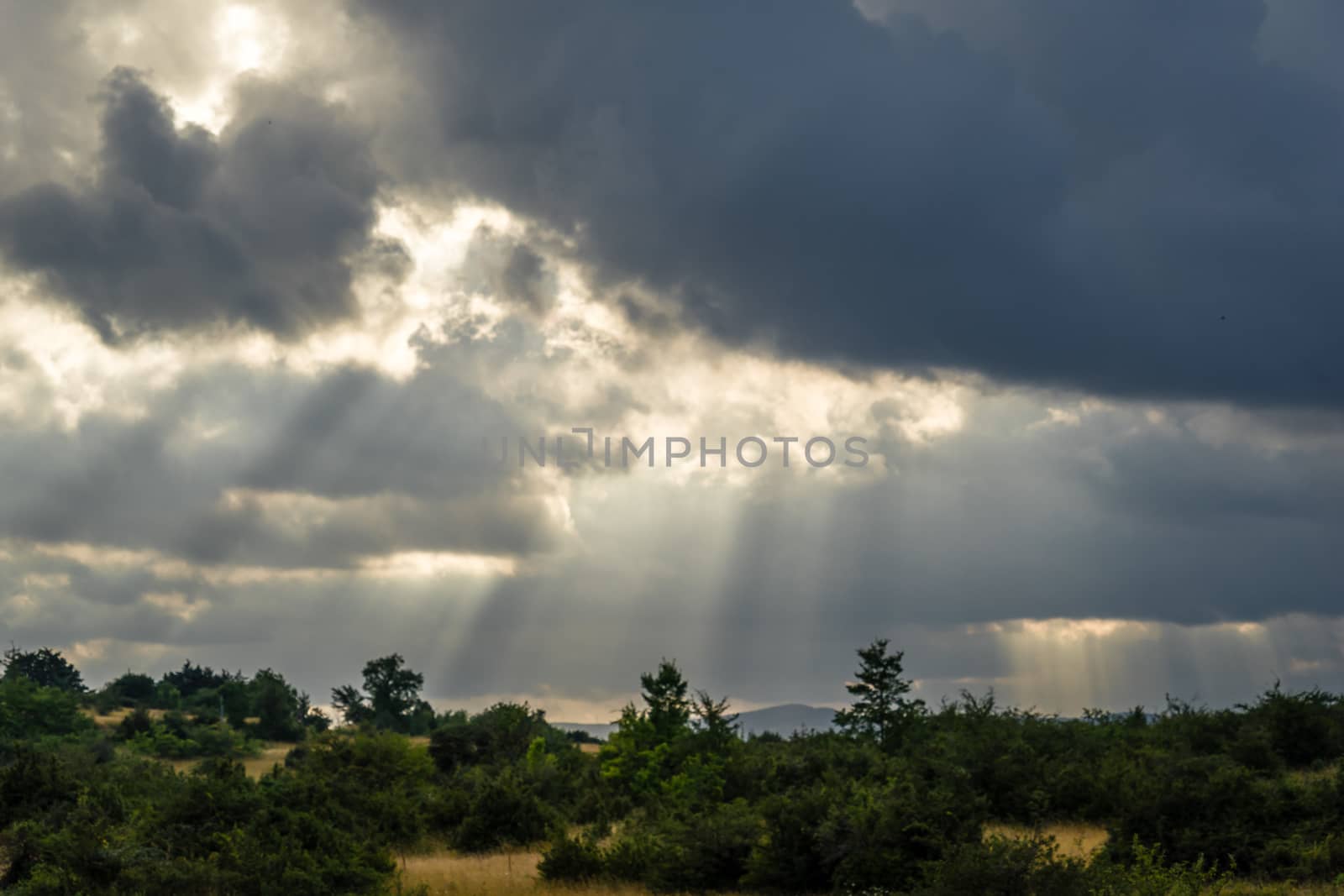 Light rays coming from above the sky in the Causse