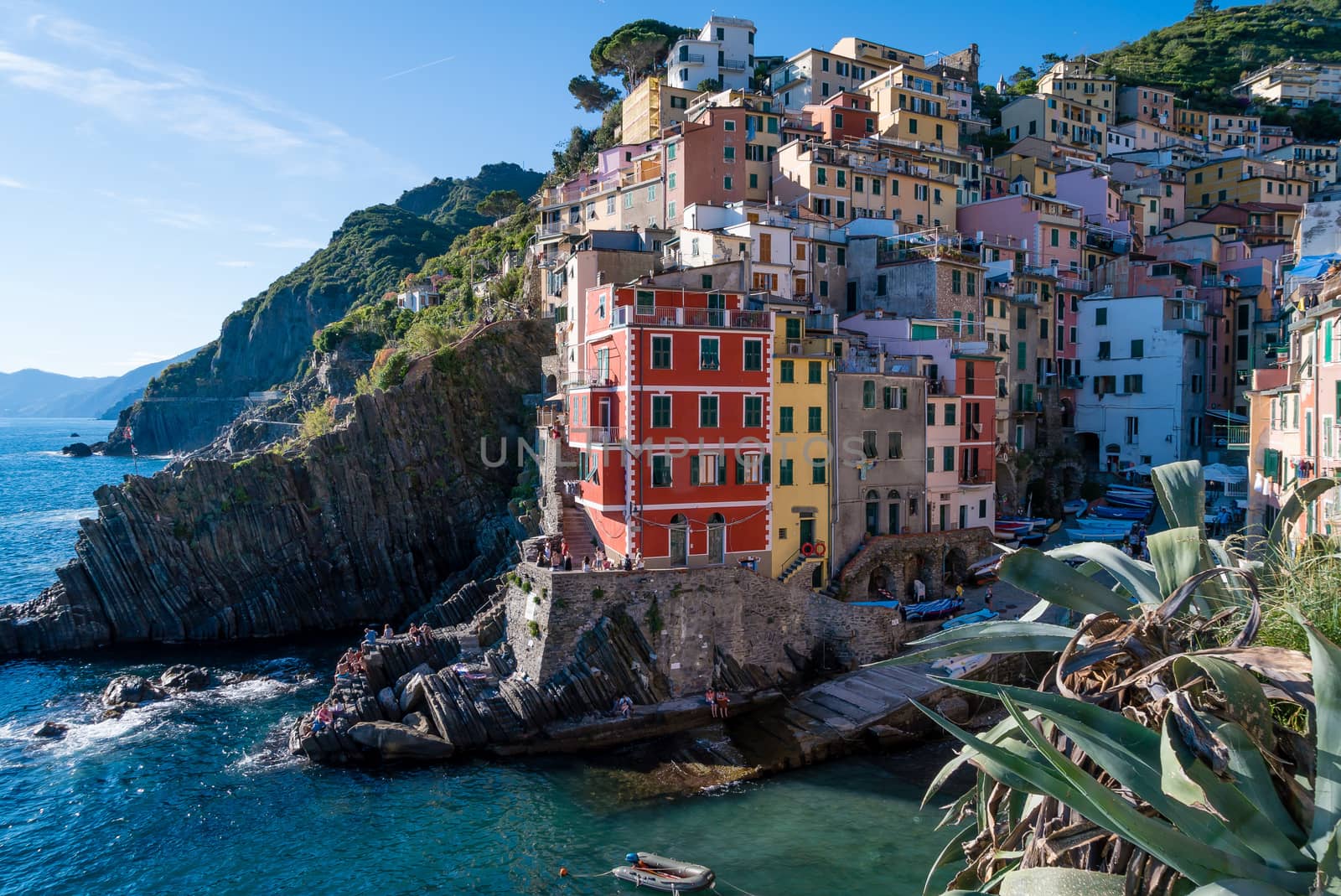 Riomaggiore and its harbour