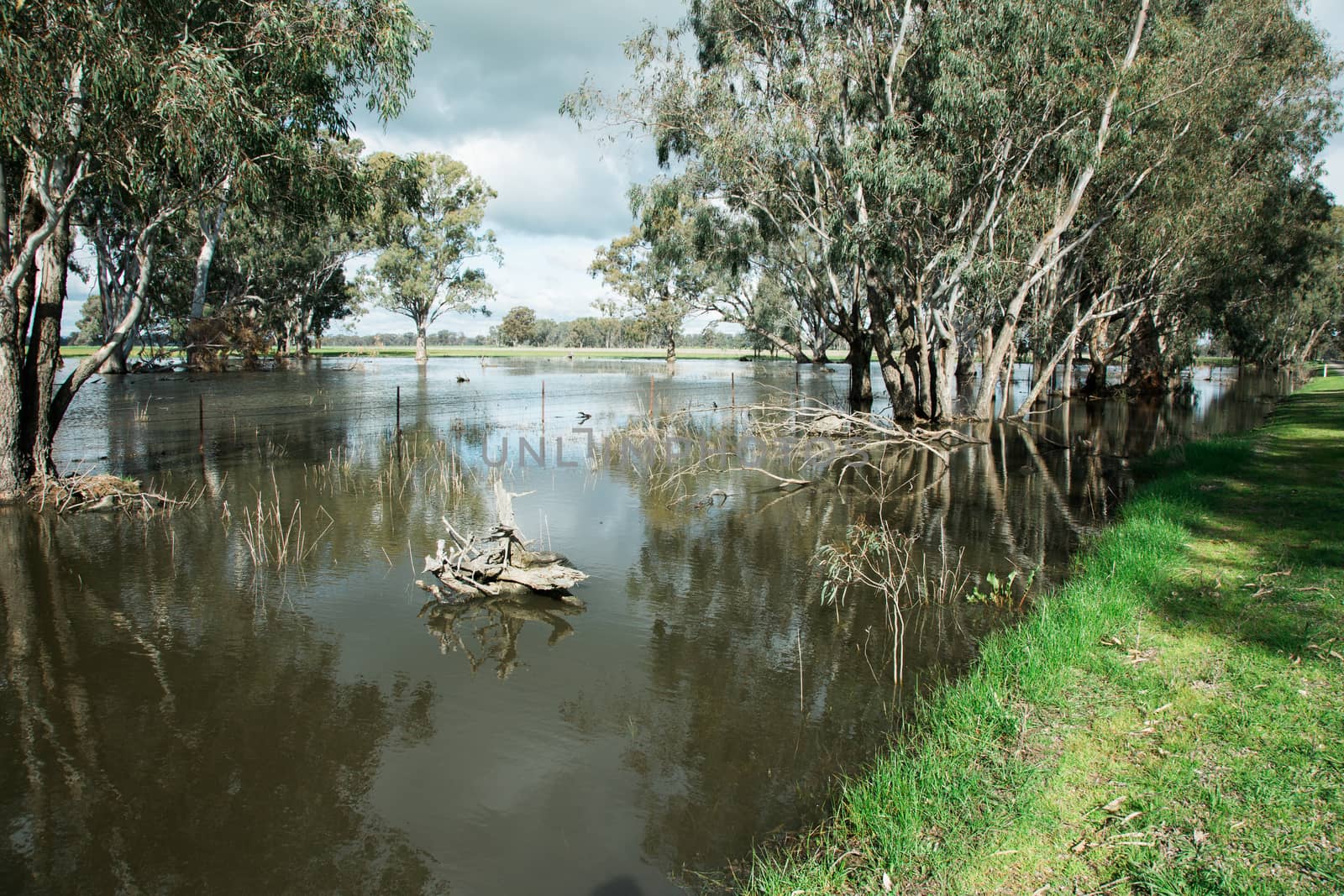 Central Victorian Floods by davidhewison