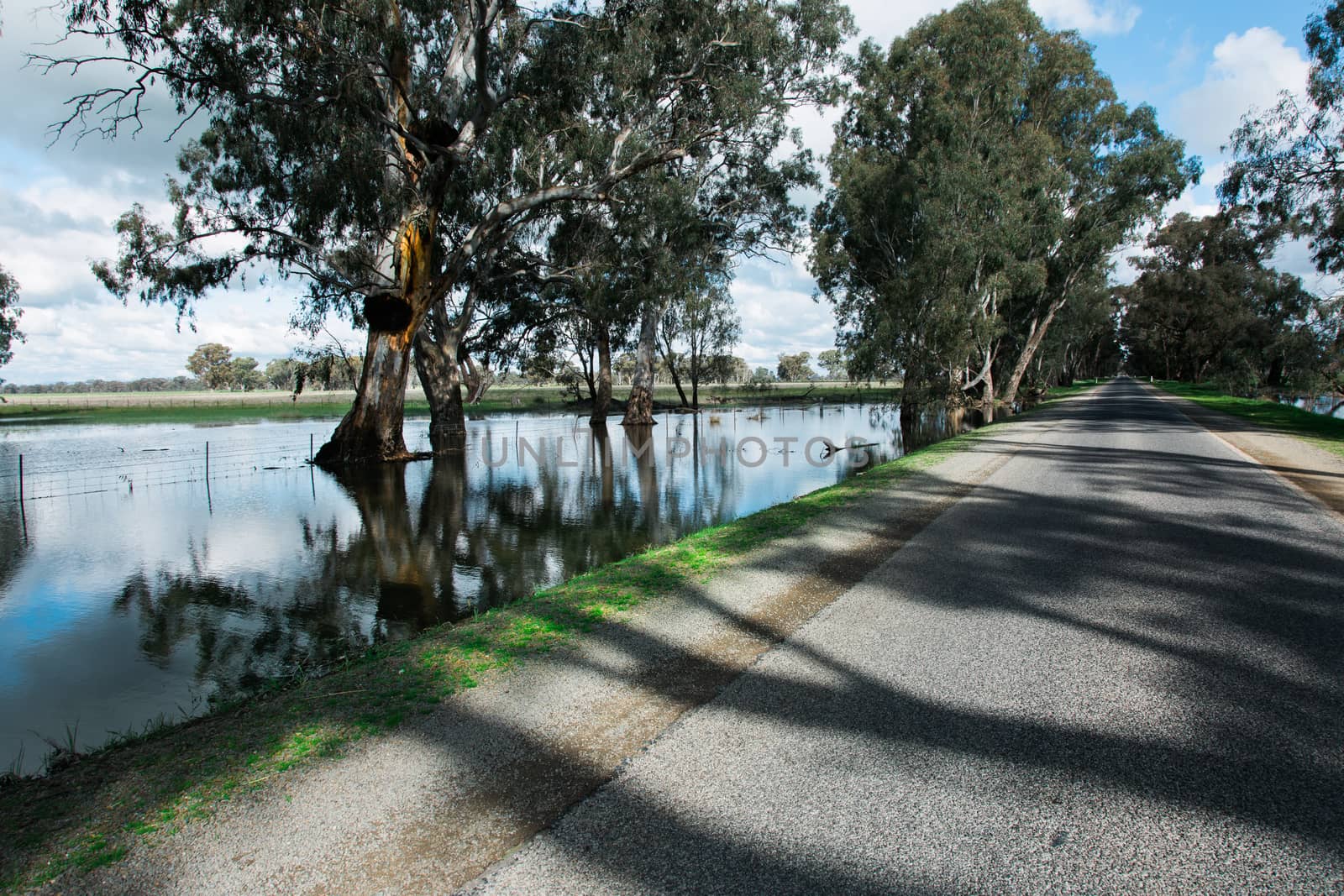 Flooding in the North West region of Victoria, Australia. Recent rain has been so heavy that there is standing water up to 1 metre deep along the side of rural roads.