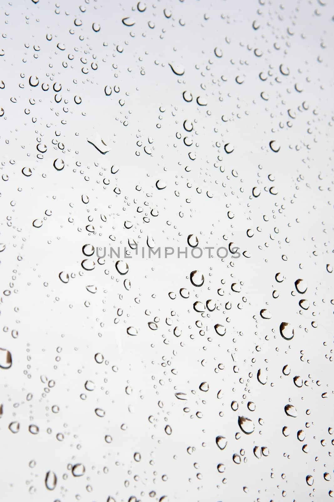 Abstract background. Drops of water on the window. Shallow DOF