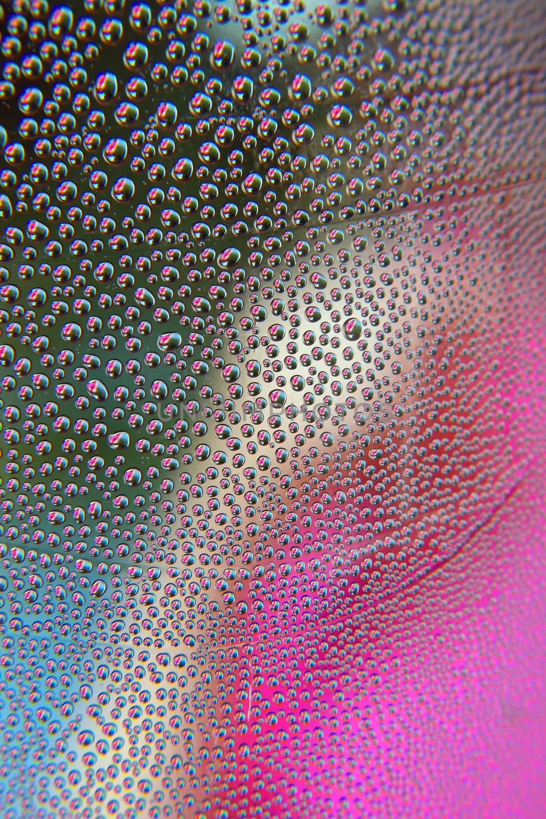 Abstract background. Drops of water on the crooked glass, shallow dof