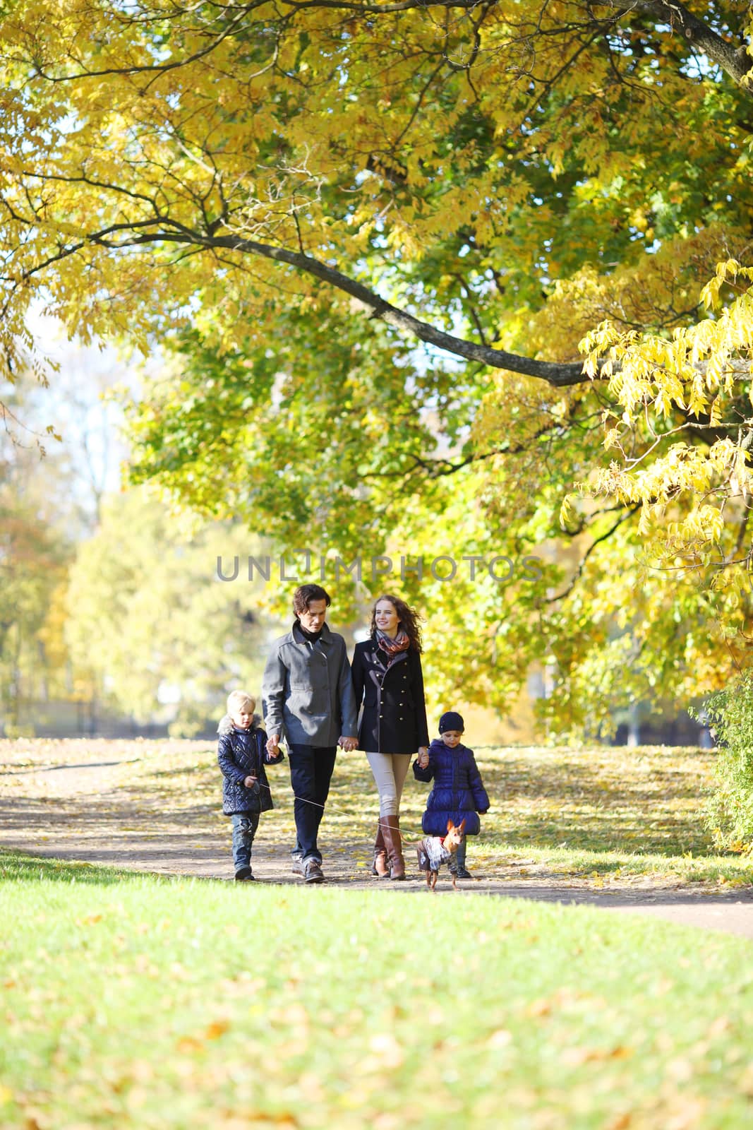 Happy family walking in autumn park at sunny day