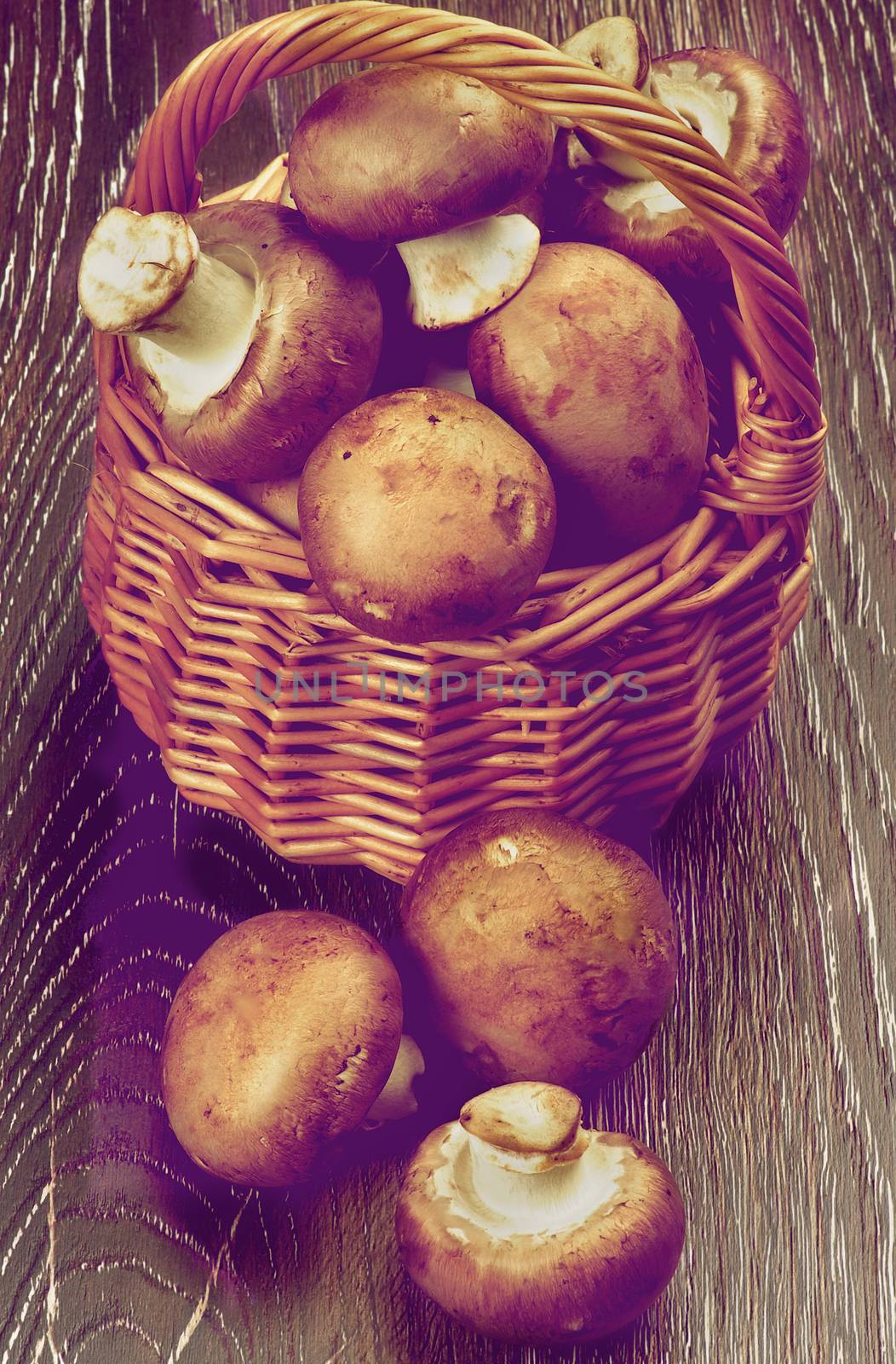 Perfect Raw Portabello Mushrooms in Wicker Basket closeup on Wooden background. Retro Styled