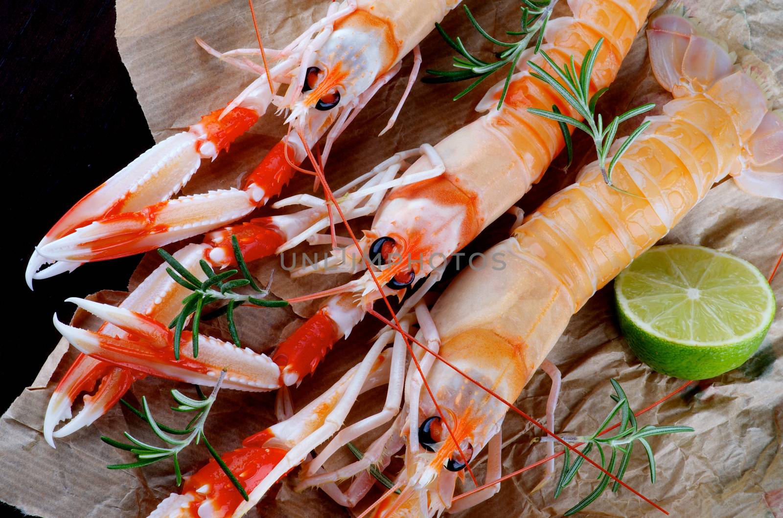 Three Delicious Raw Langoustines with Lime and Rosemary Cross Section on Parchment Paper