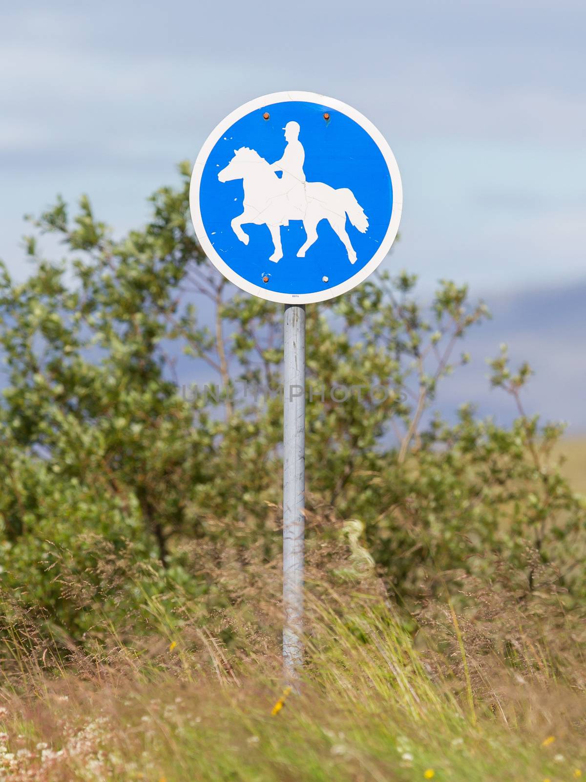 Road sign in Iceland - Equestrian path by michaklootwijk