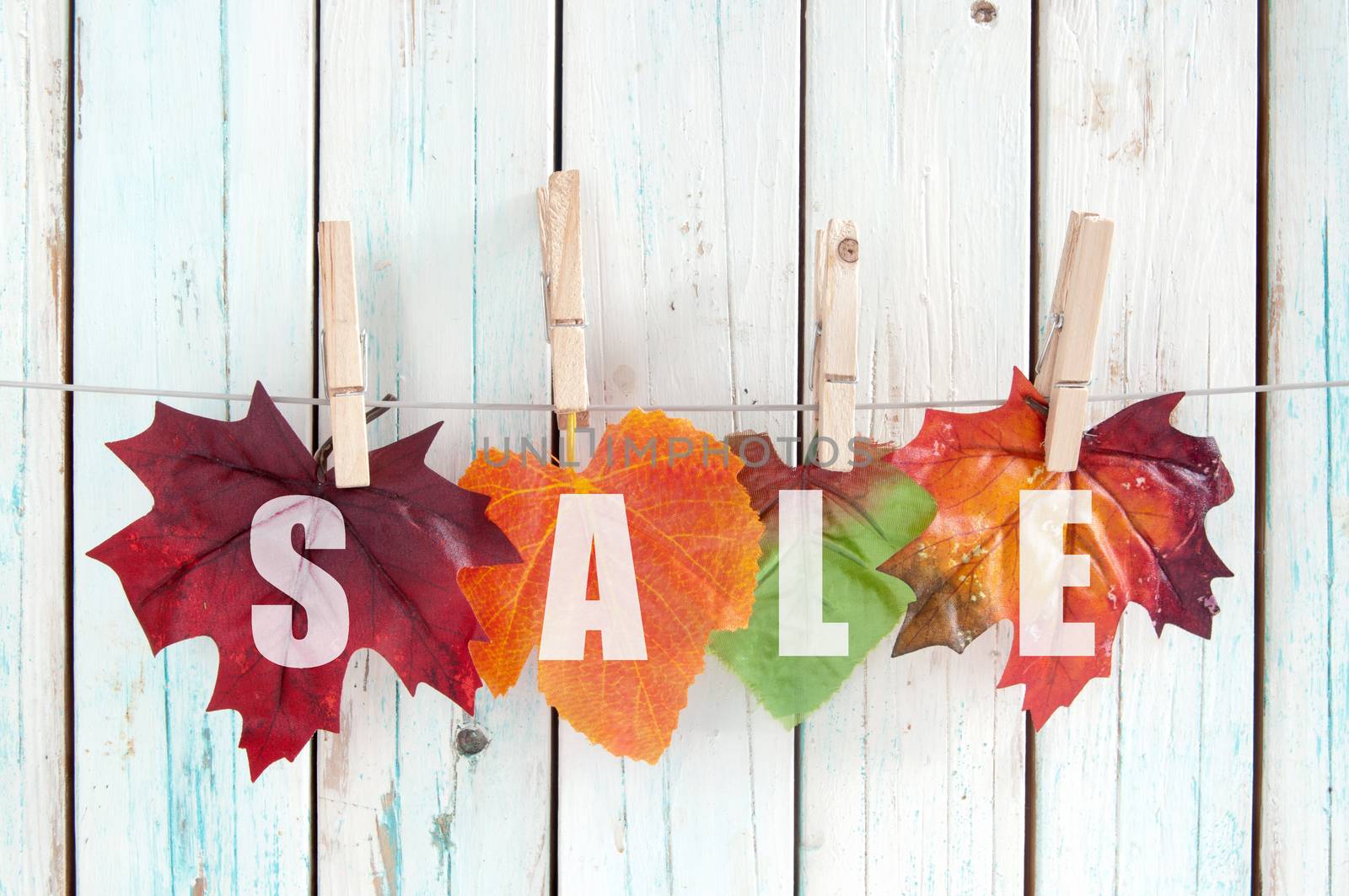 Autumn sale  by unikpix