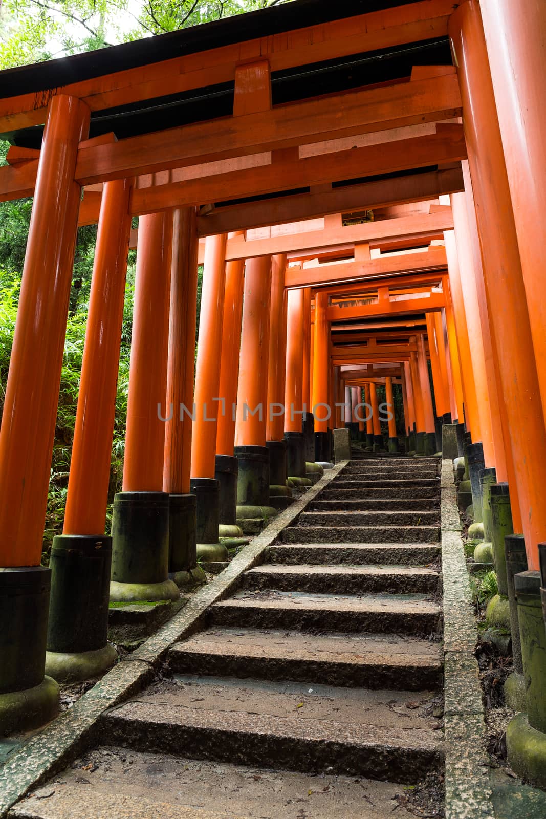 Fushimi Inari Taisha Shrine in Kyoto,