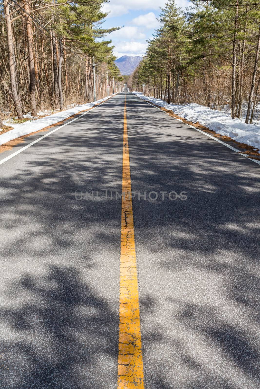 Winter road in forest