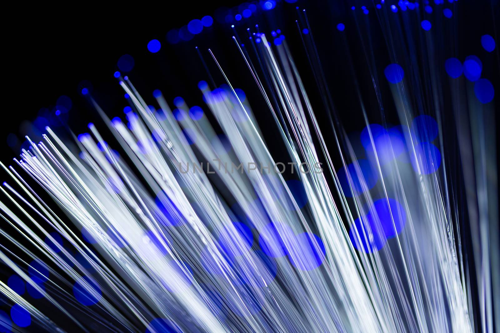 Close up of fiber optics by leungchopan