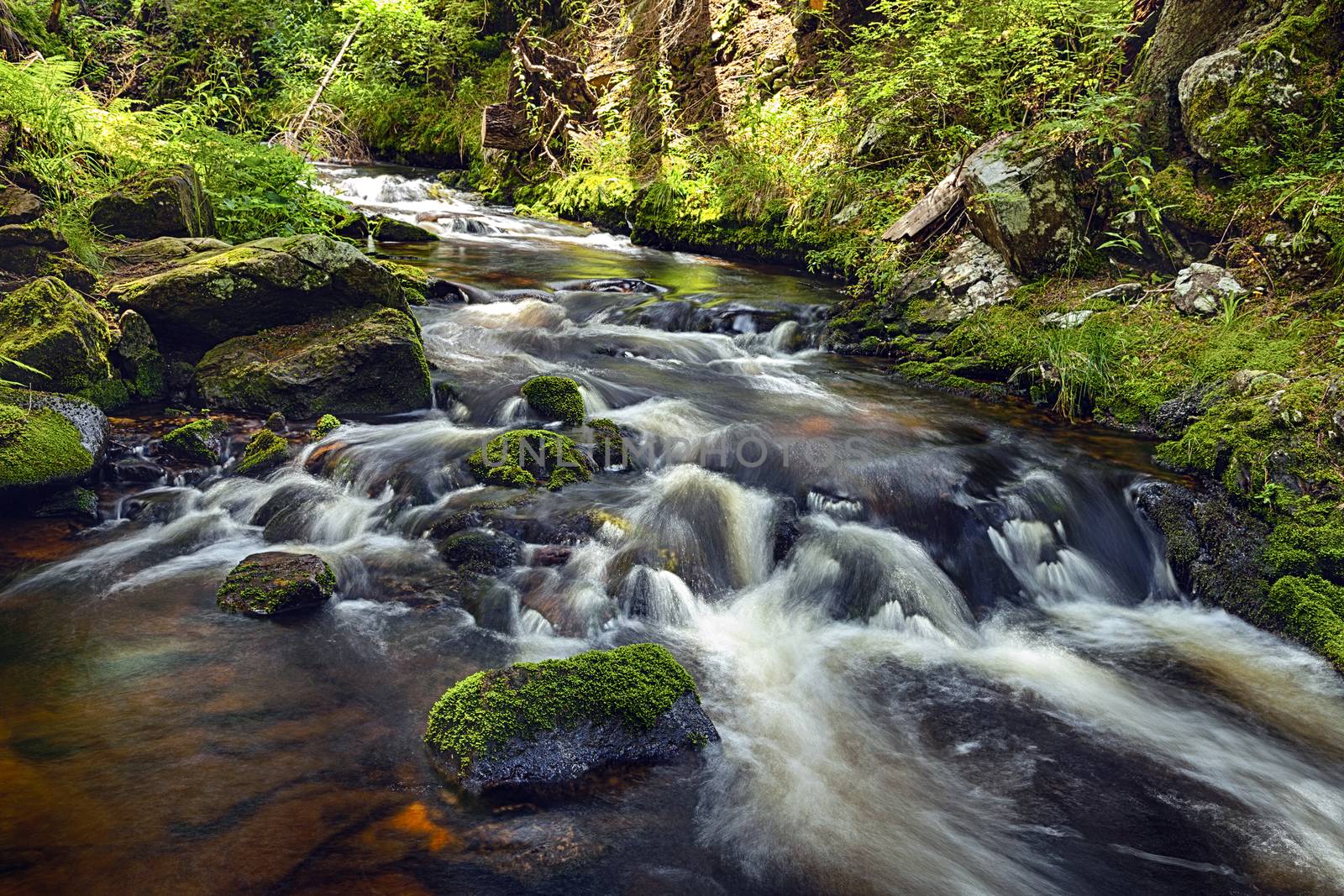 River runs over boulders in the primeval forest by hanusst